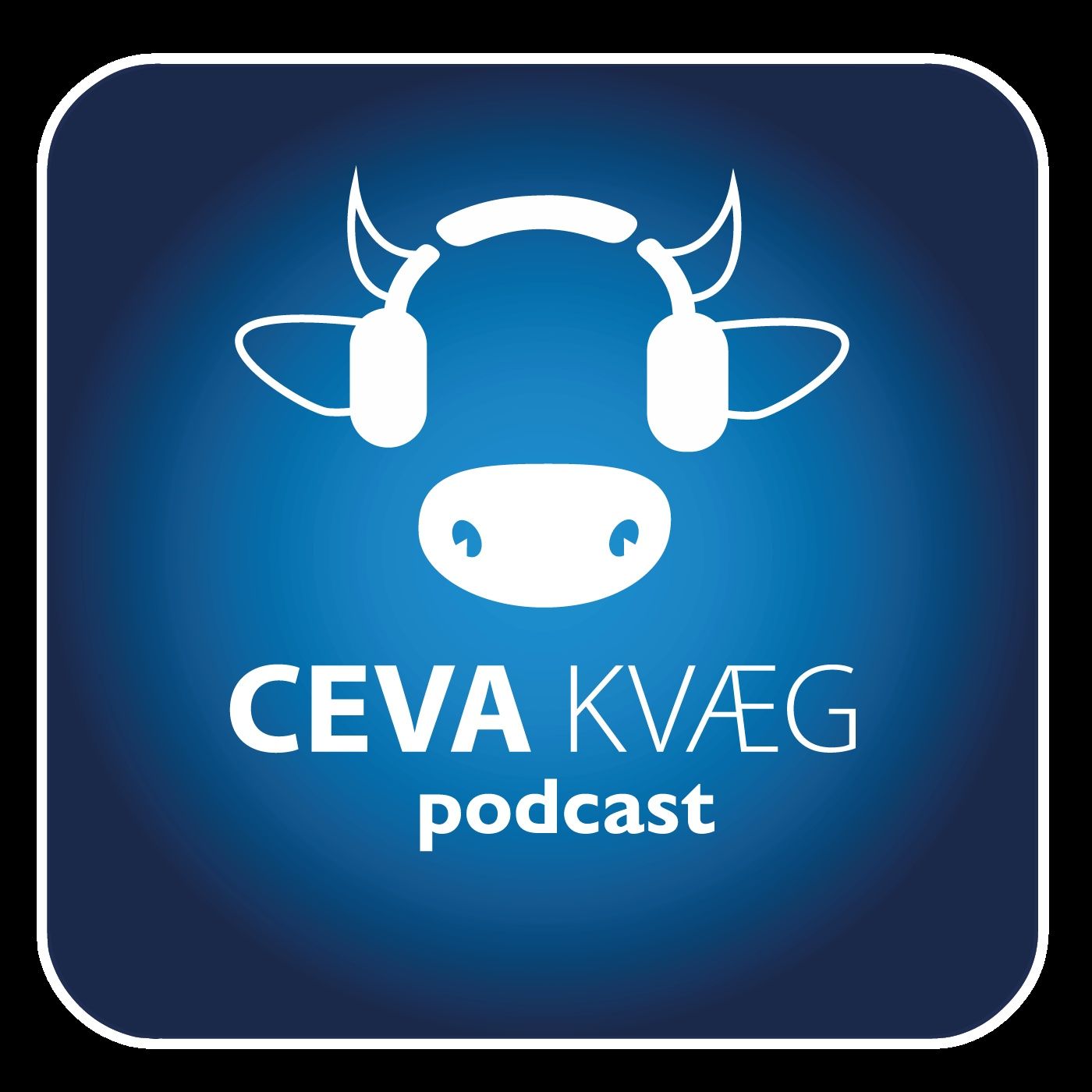 CEVA KVÆG af Maja Albrechtsen