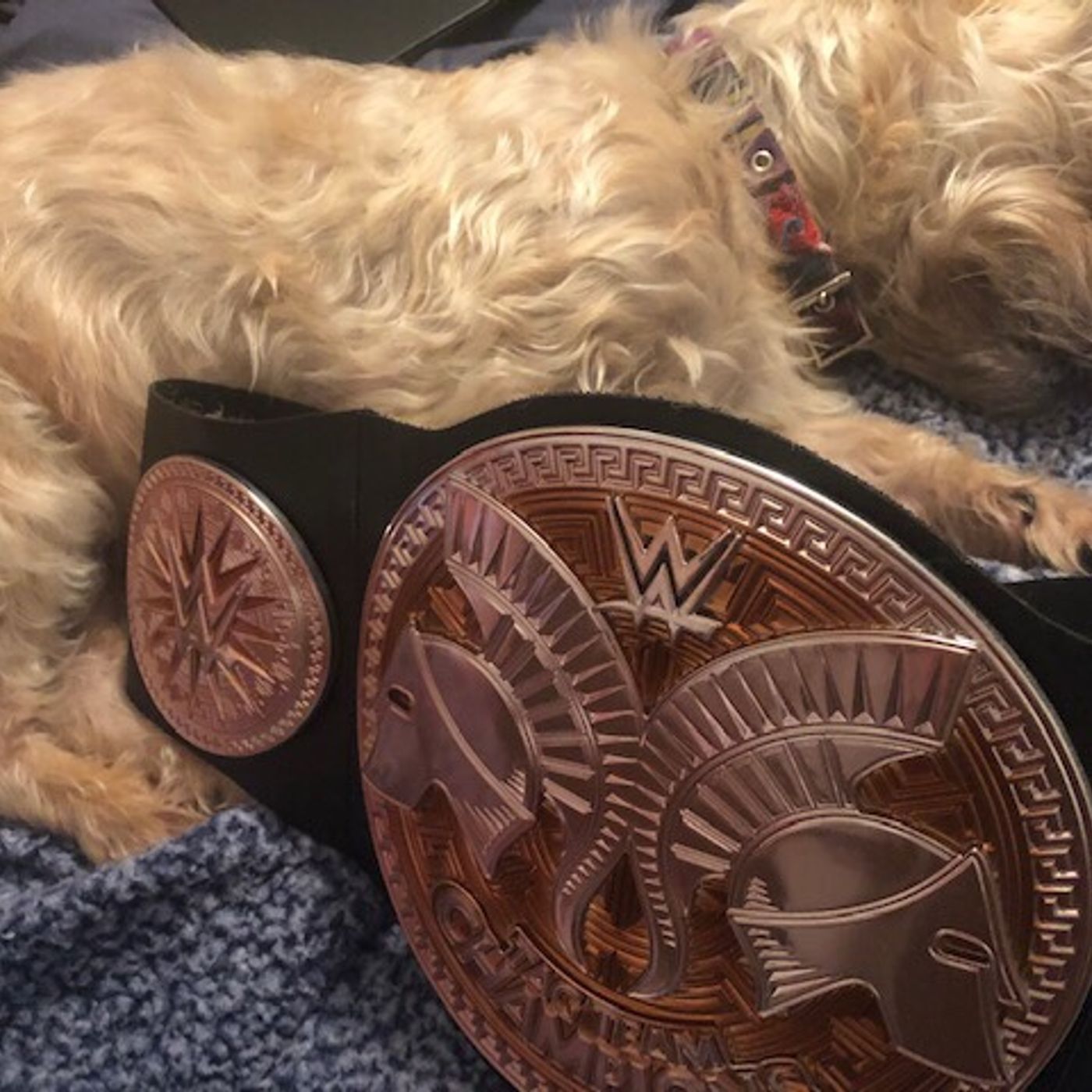 Mr. & Mrs.:  A Wrestling Podcast