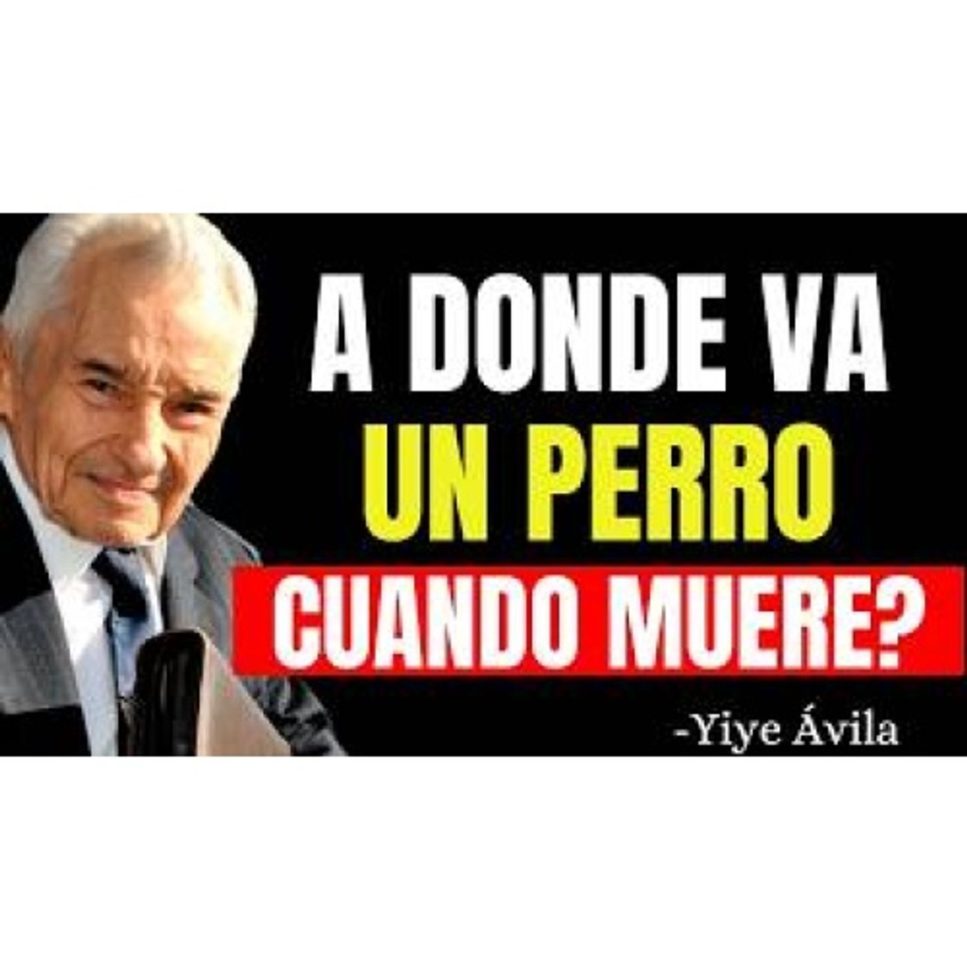 ¿Qué sucede con las mascotas cuando mueren? Una reflexión desde la fe - Predicaciones Cristianas episode artwork