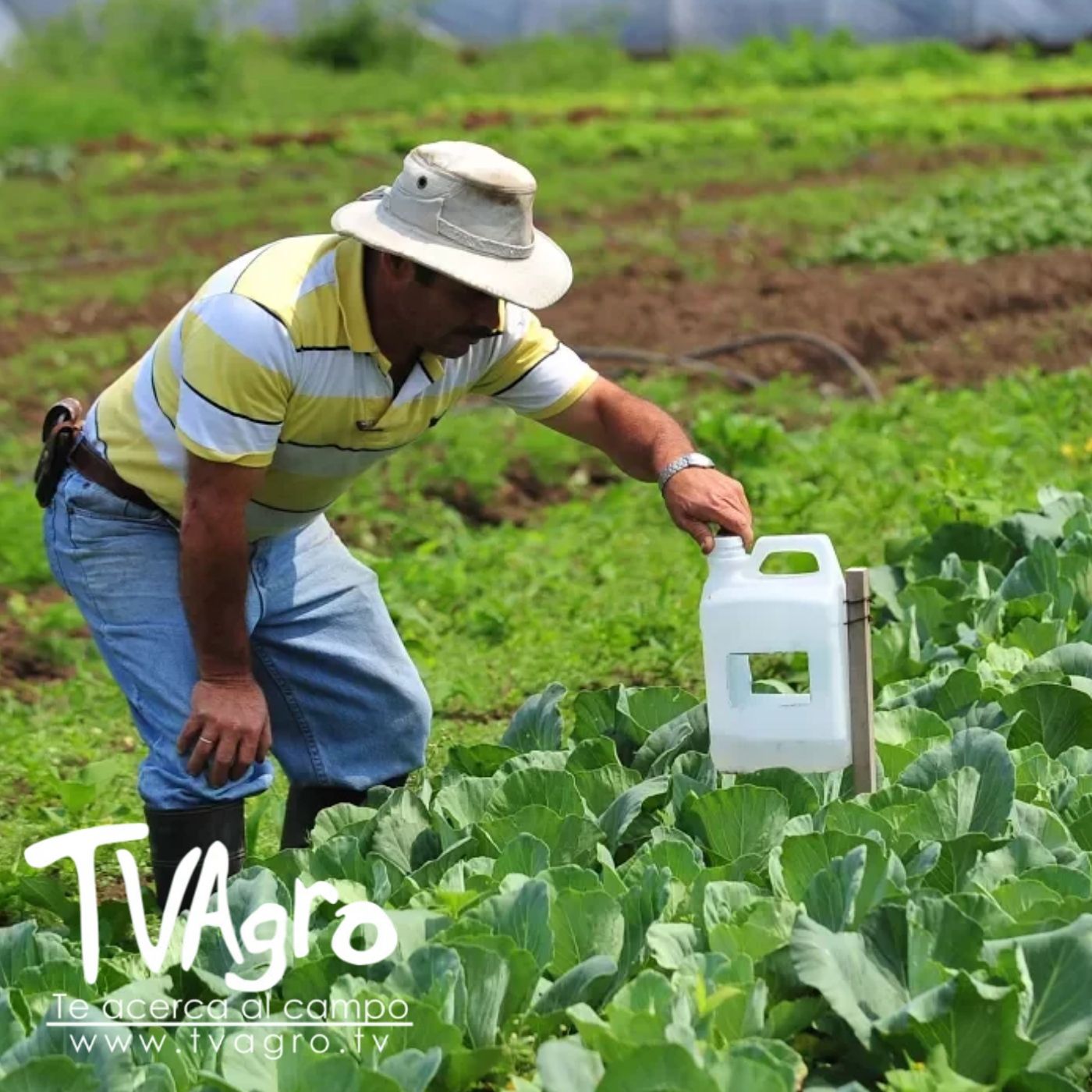 TV AGRO