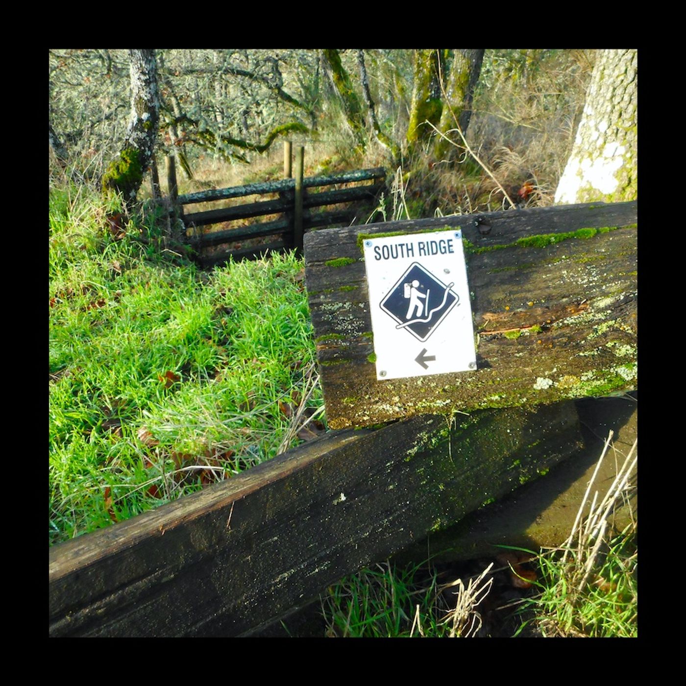 South Ridge Ascent (Podcast)