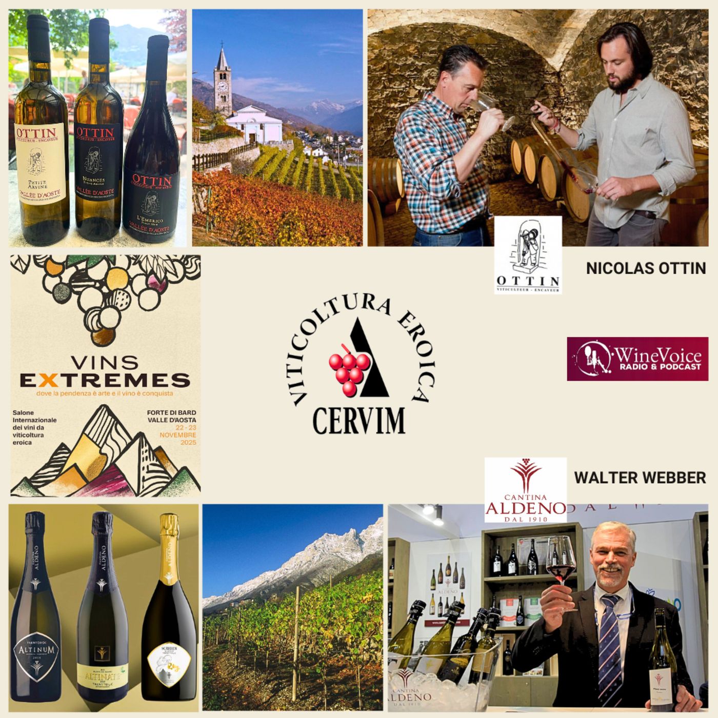 Le Terre del Vino: VINS EXTREMES - Val d'Aosta e Trentino, storie di veri eroi! episode artwork