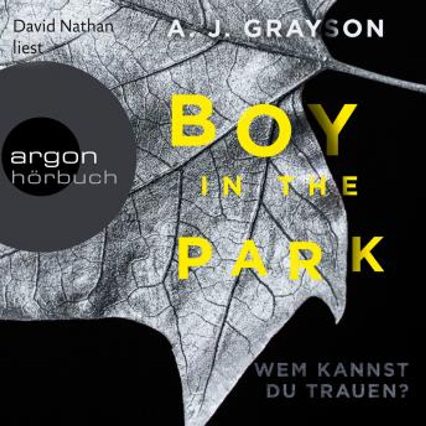 [German] - Boy in the Park - Wem kannst du trauen? (Autorisierte Lesefassung) by A.J. Grayson episode artwork