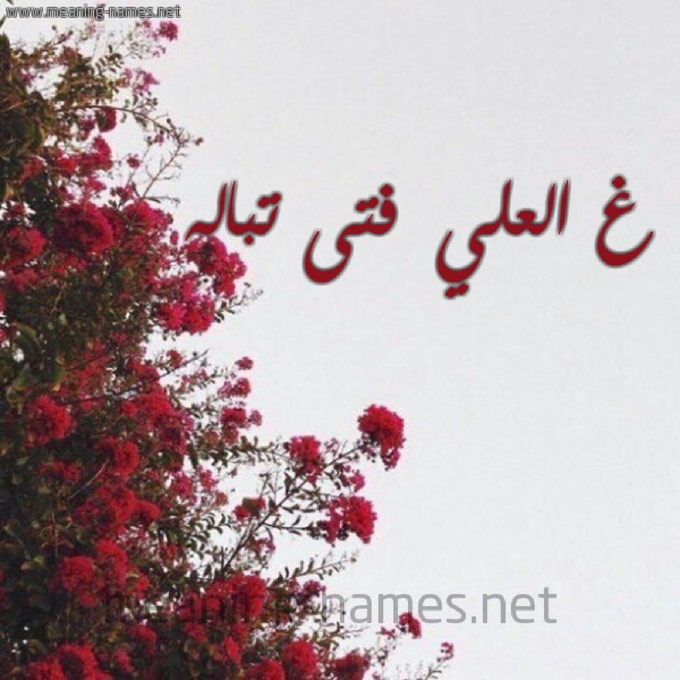 فتى تباله FM