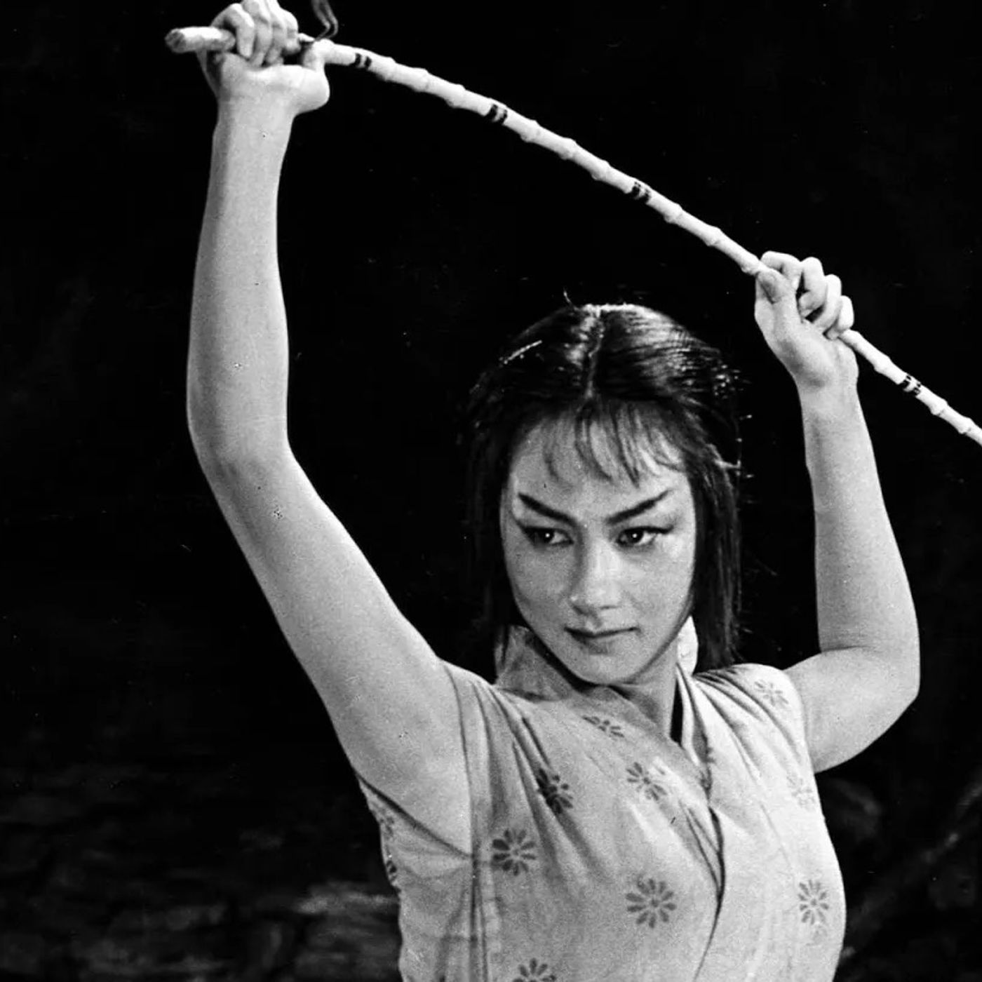 House of Kurosawa - 273 - The Hidden Fortress