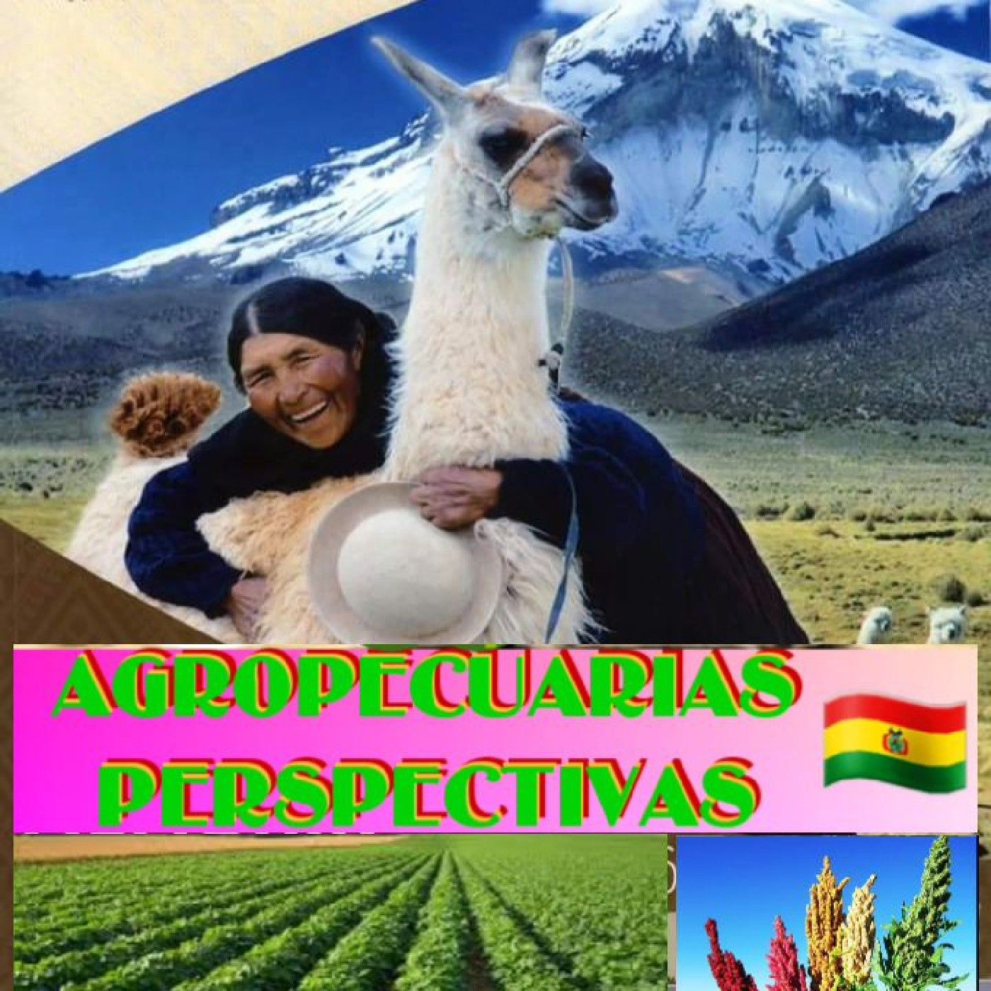 AGROPECUARIAS PERSPECTIVAS cover art