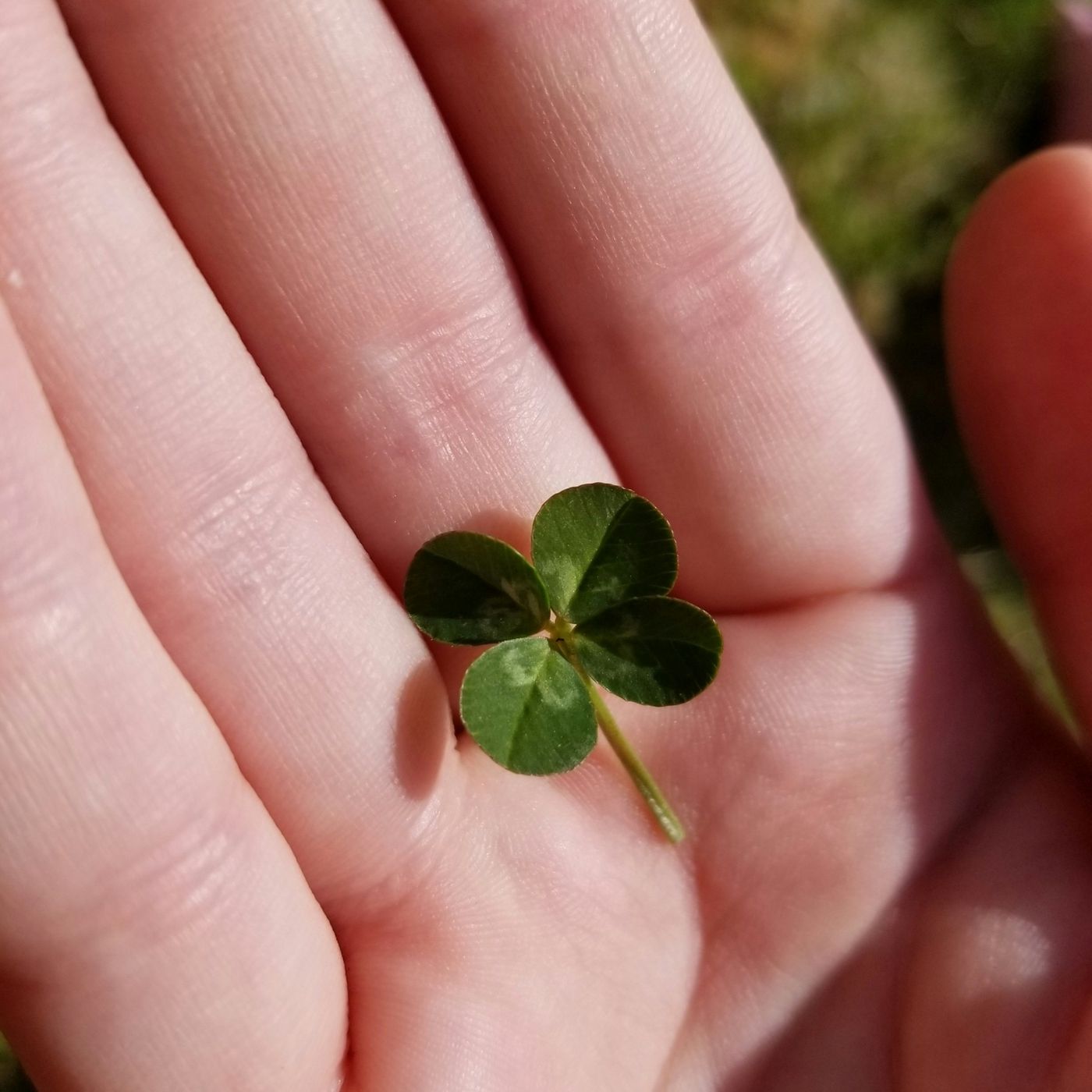 You're not Unlucky, You're just not Paying Attention