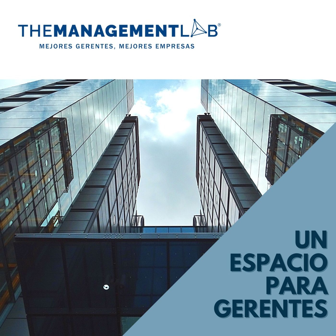 The Management Lab