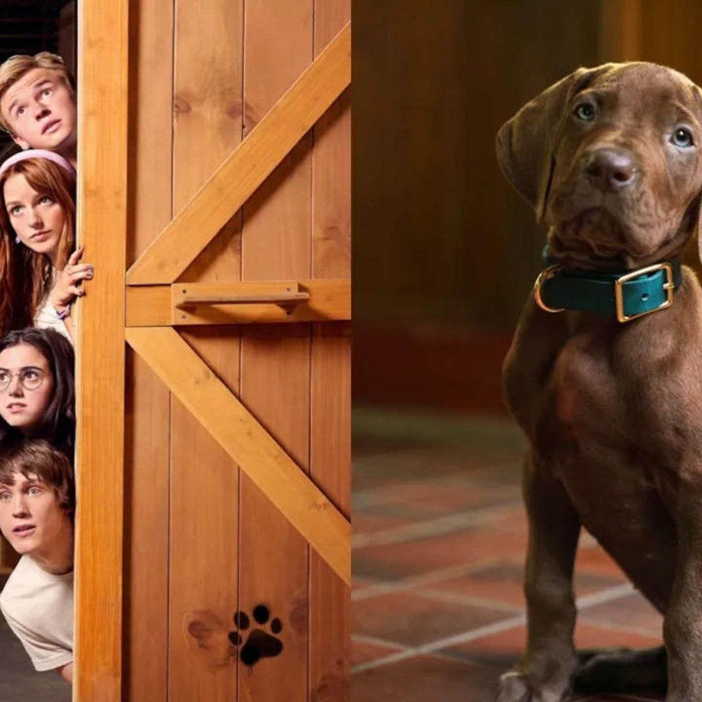 new Scooby Doo show backlash