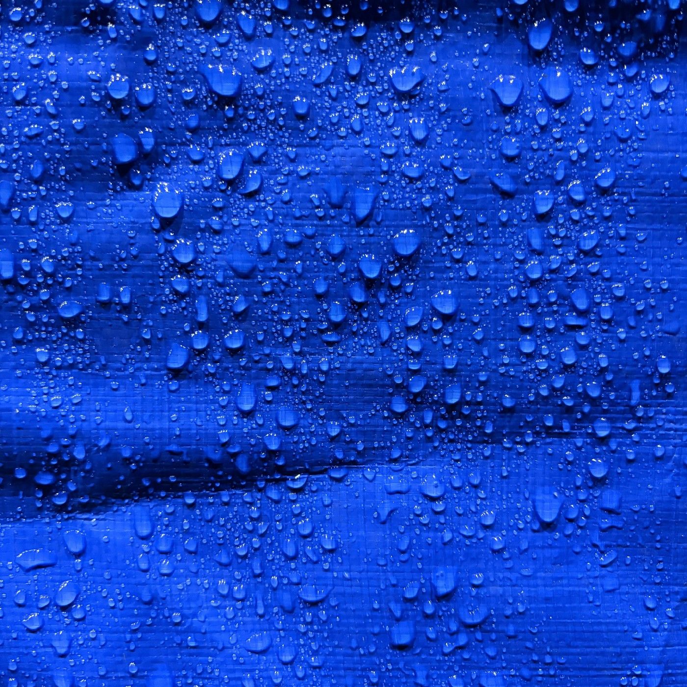 Being Shy But Having Big Dreams