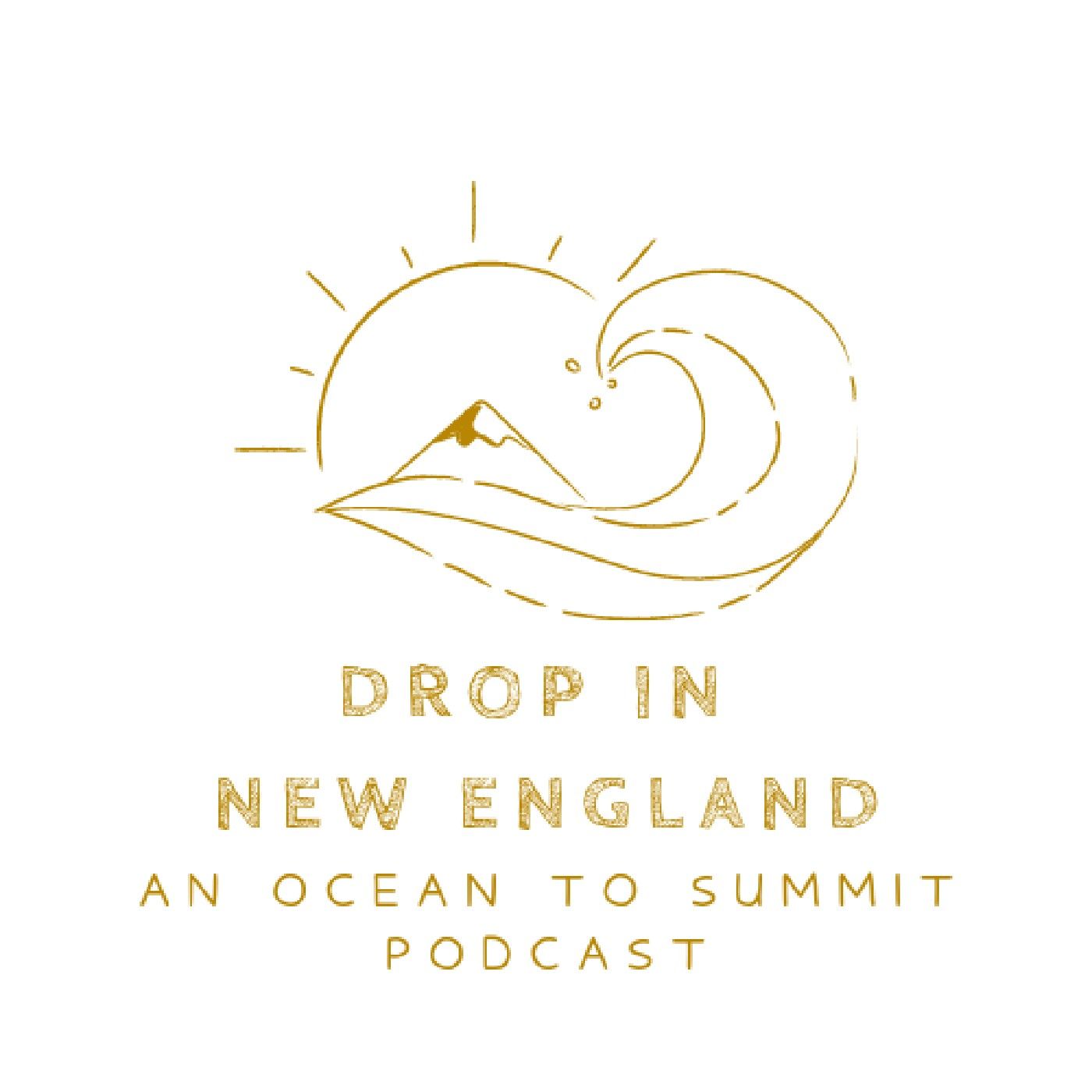 "DROP IN New England"