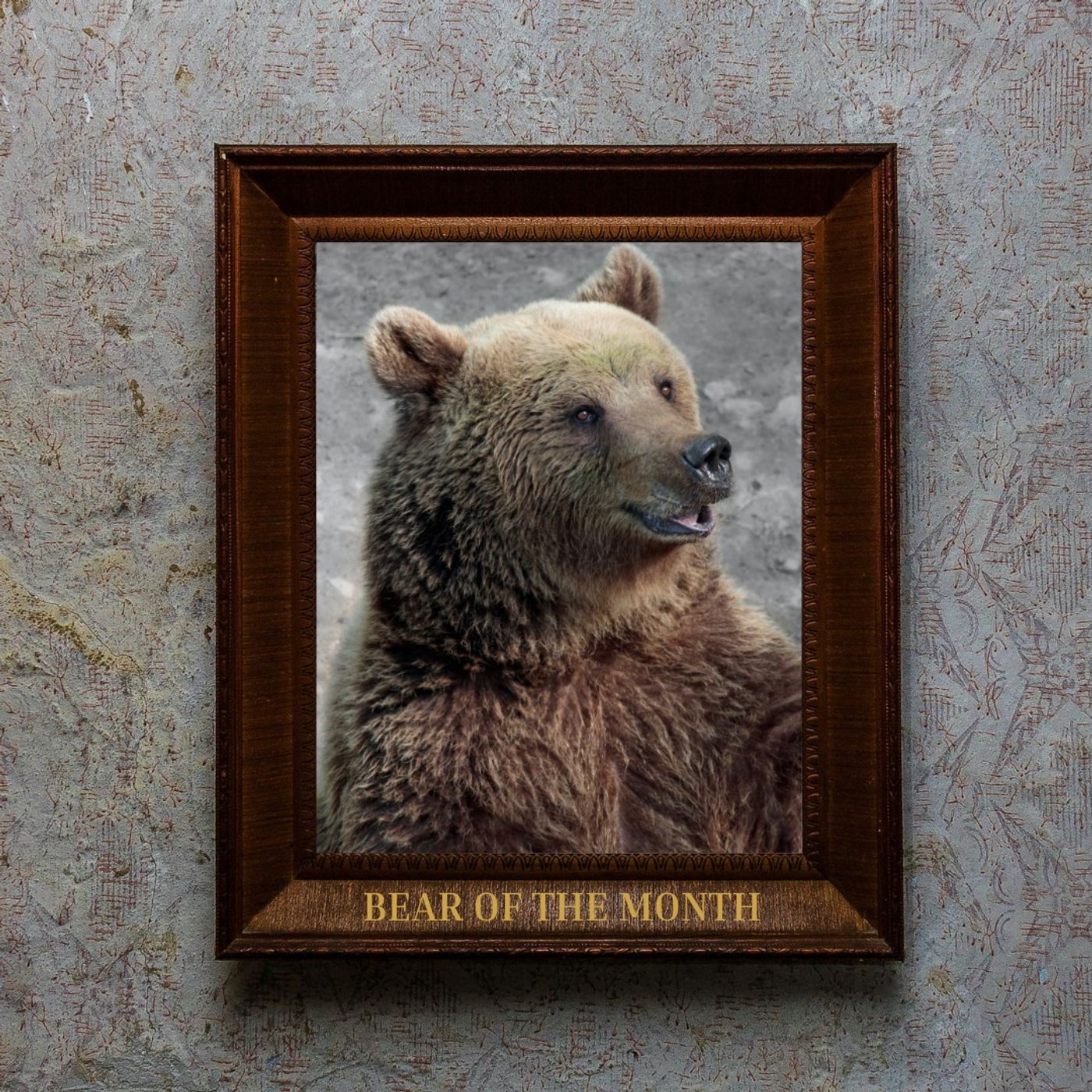Bearfaced Podcast