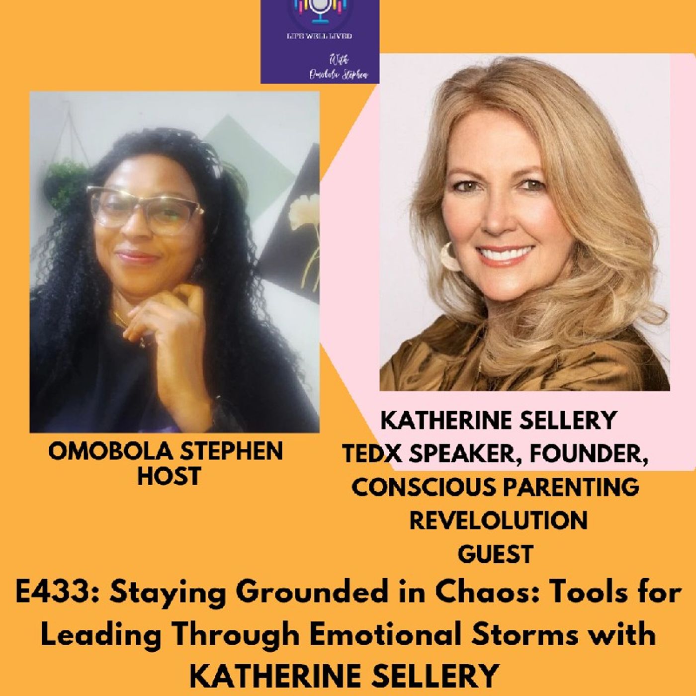 E433: How To Stay Grounded In Chaos: Tools For Leading Through Emotional Storms With Katherine Sellery episode artwork