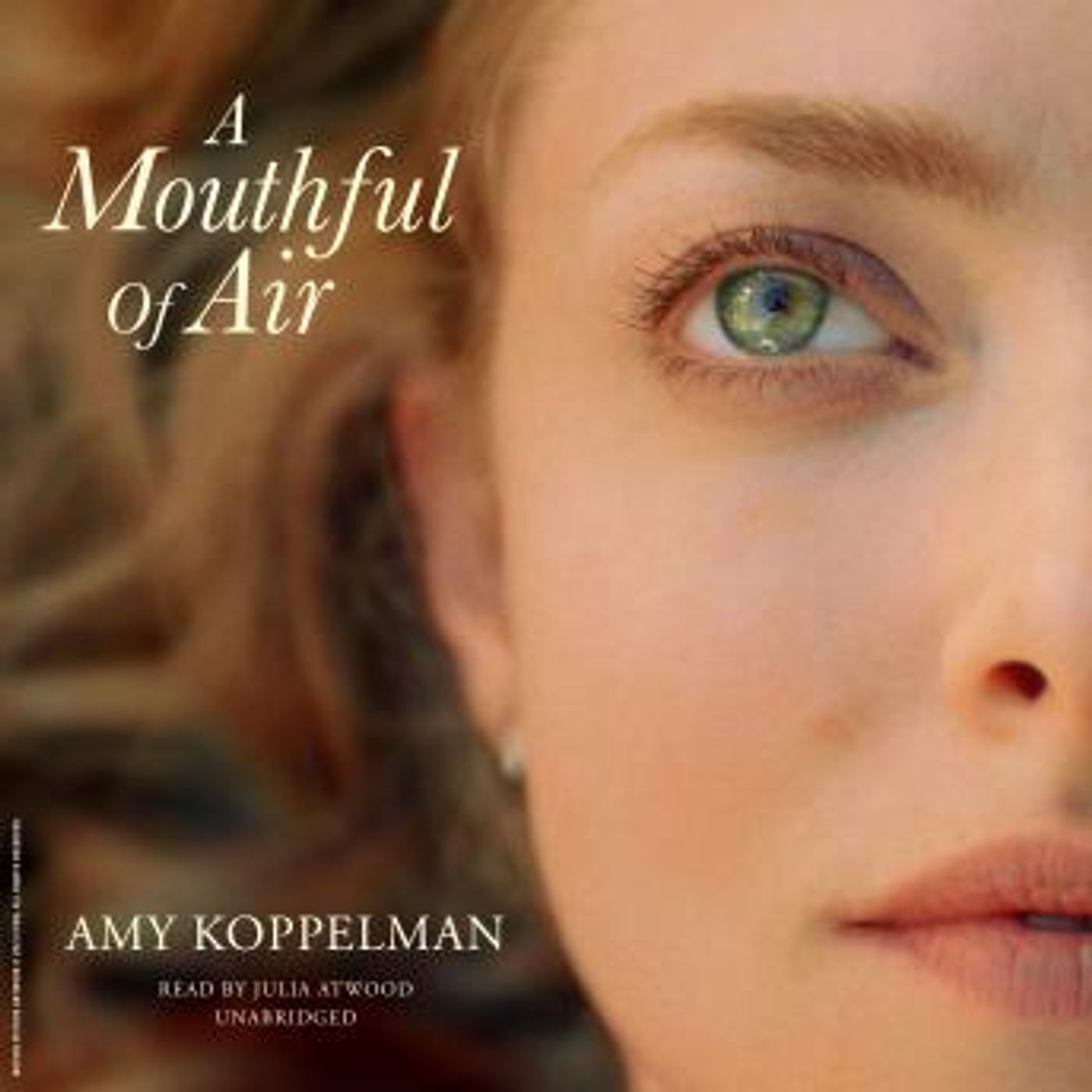 A Mouthful of Air by Amy Koppelman episode artwork