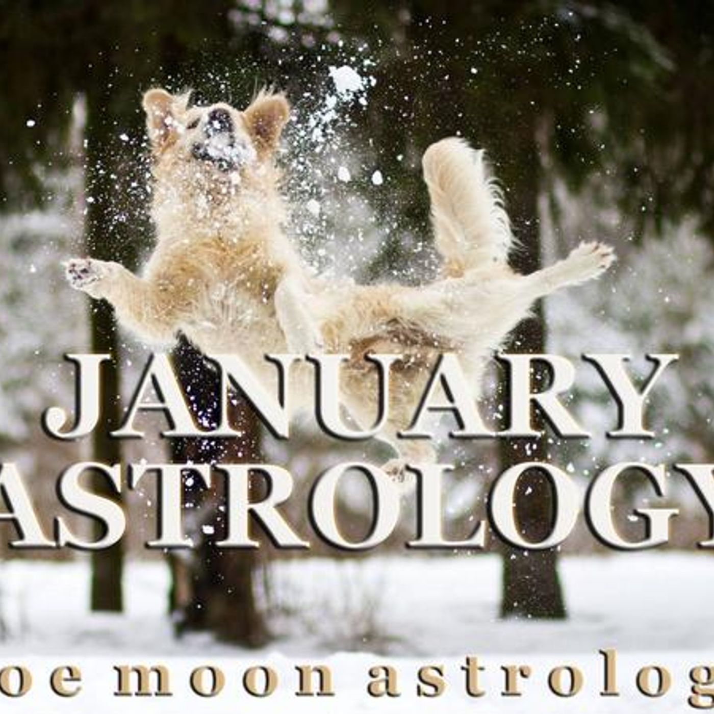 The Zoe Moon Astrology JANUARY MONTHLY 2024 Show for Aquarius & Pisces episode artwork