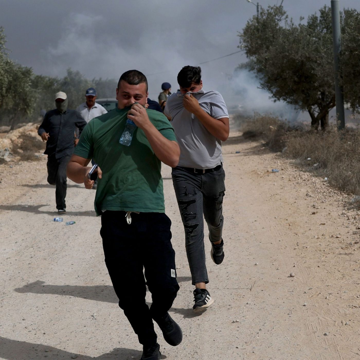 Israeli settlers attack Palestinians during olive harvest episode artwork