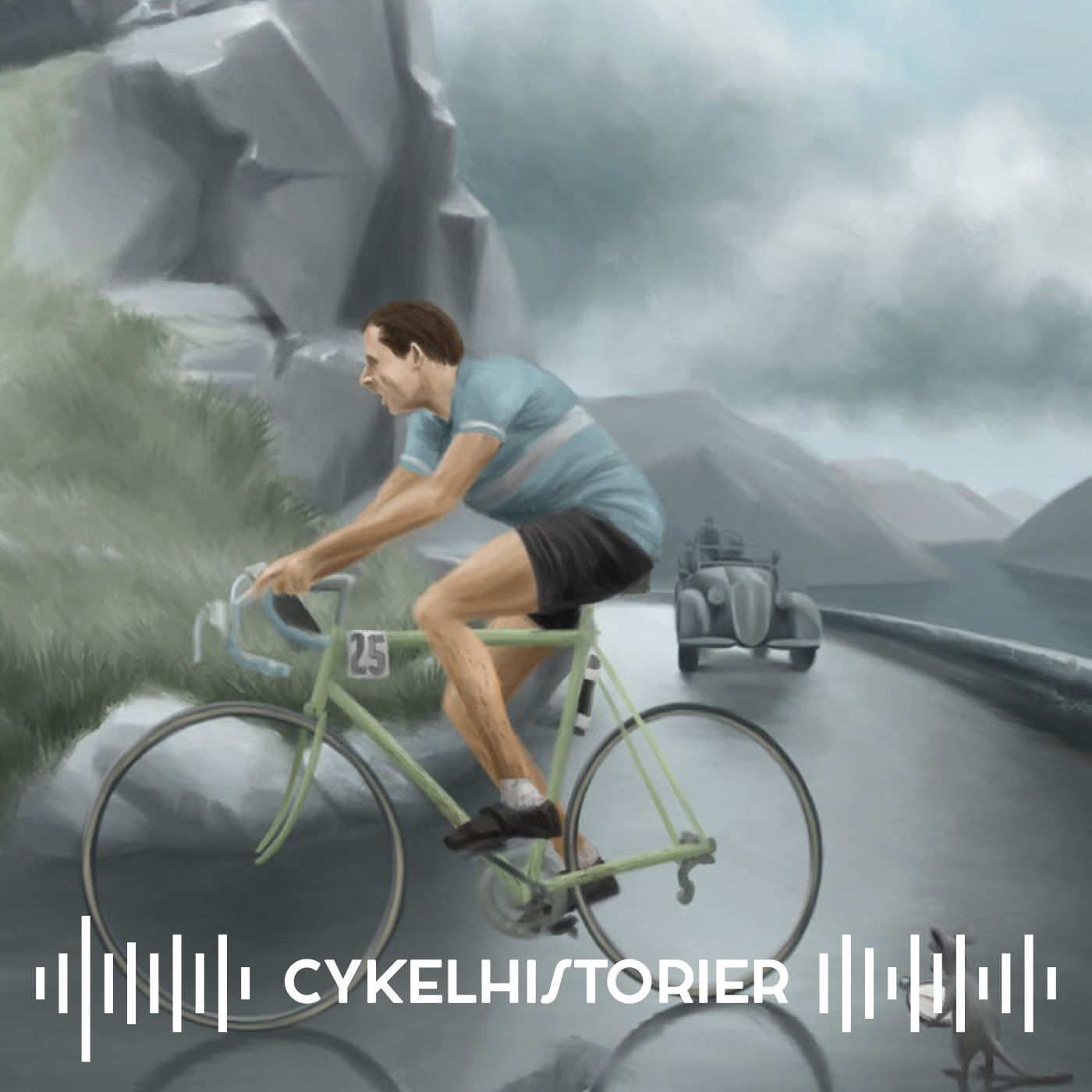 Škoda Cykelhistorier