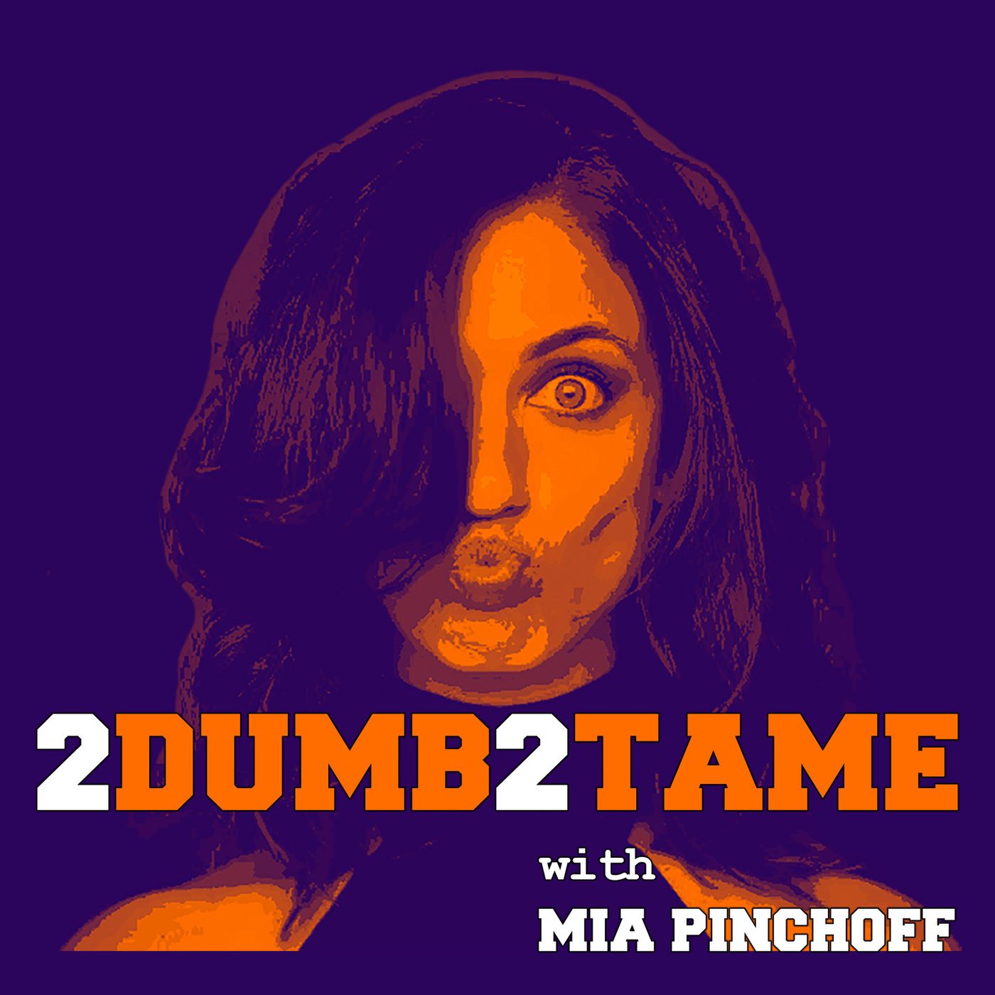 2 Dumb 2 Tame podcast artwork