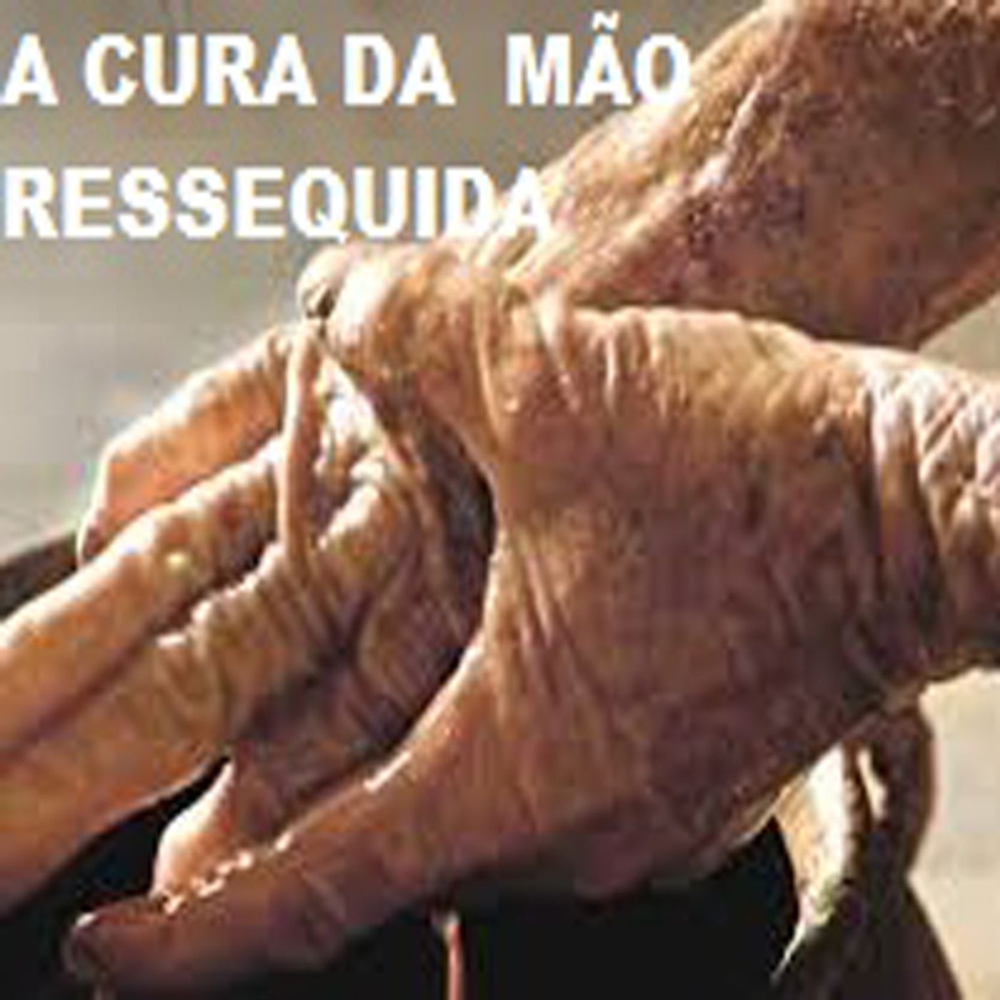 Os Milagres de Jesus