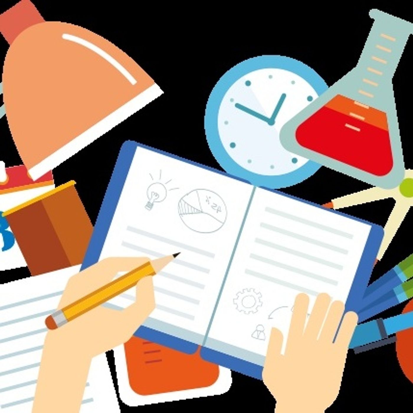 Reflexión del Diseño Curricular