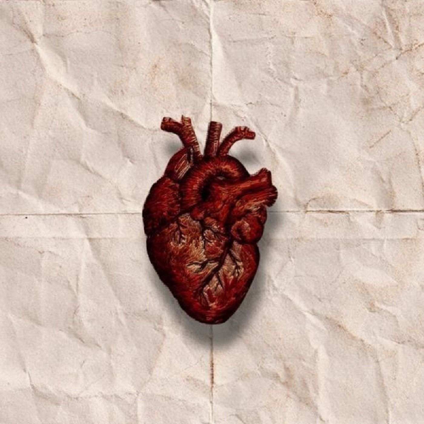 Explorando el universo del amor podcast artwork