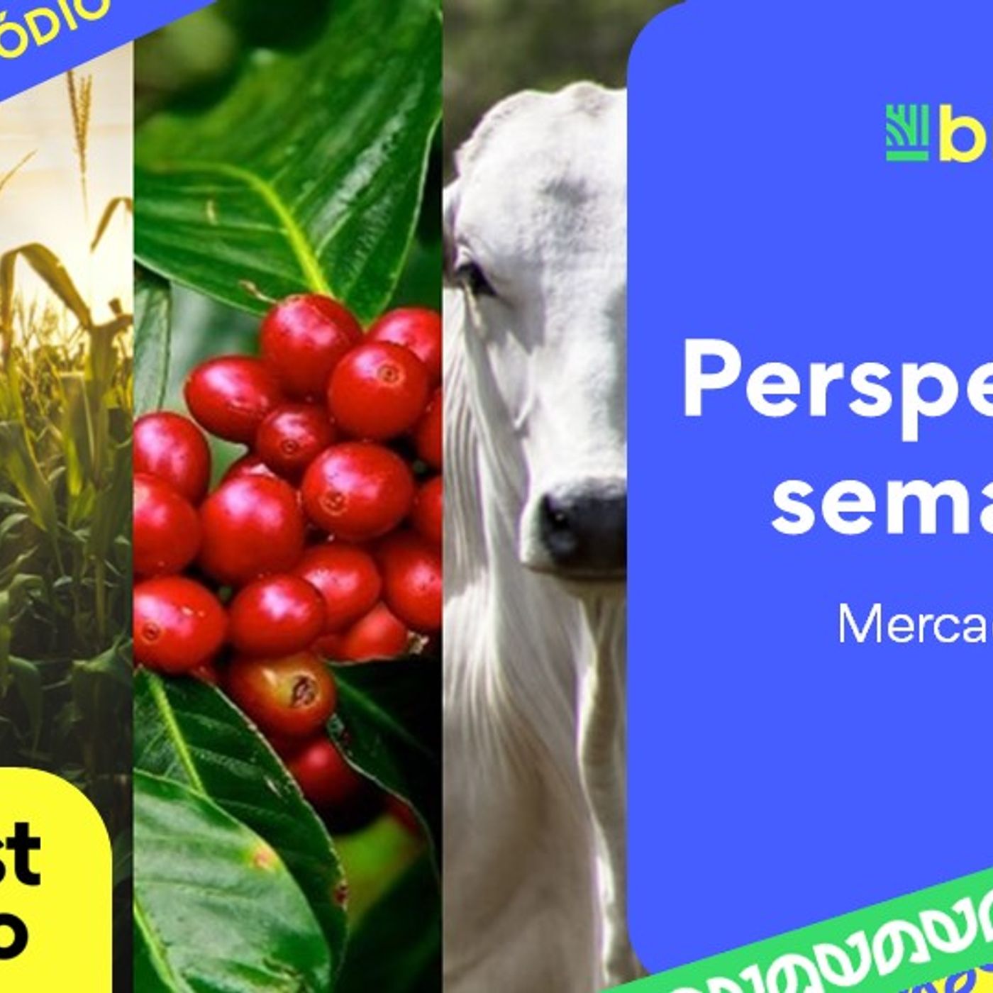 Geopolítica, avanço da safra e pecuária firme marcam a semana | BBcast Agro - 23/02/2026
