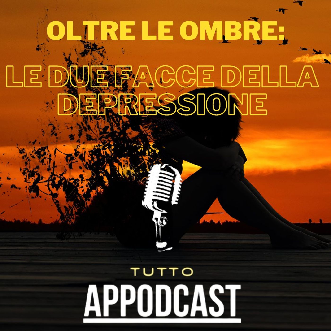 Ep.17 Le due facce della depressione episode artwork