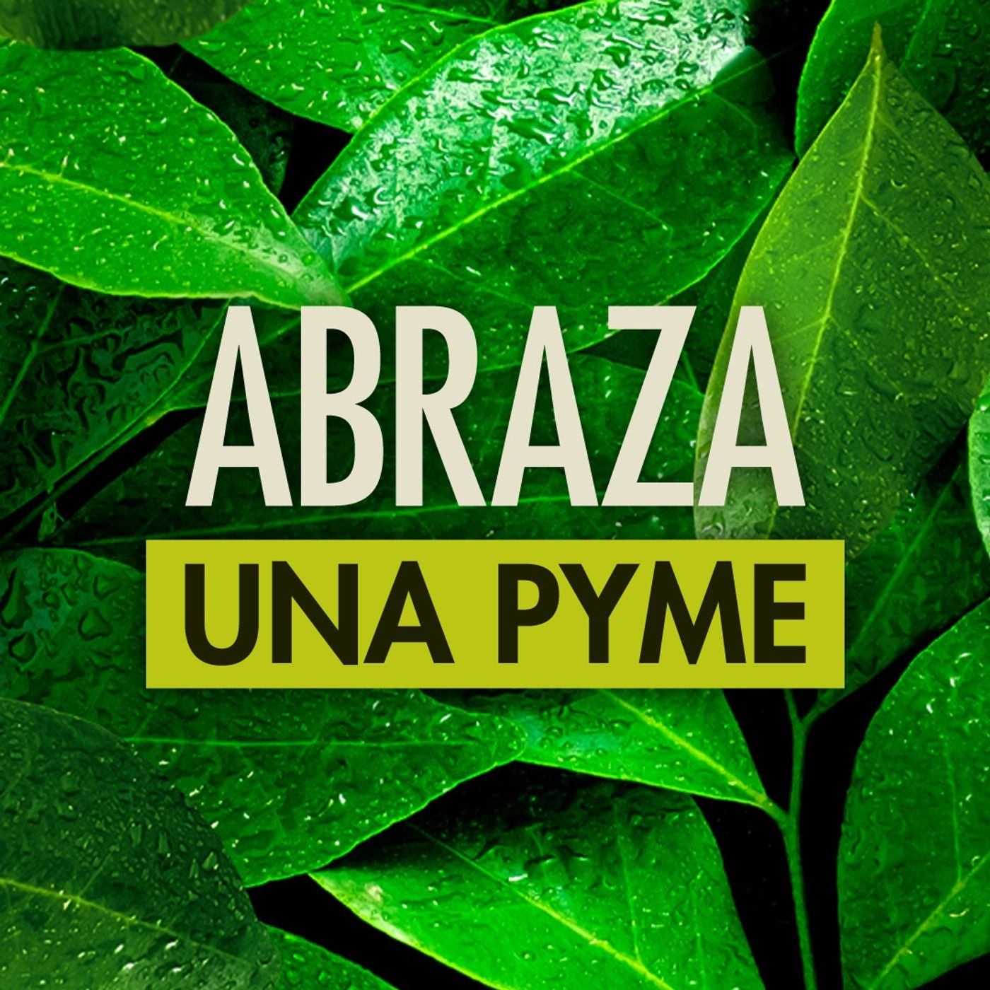 Abraza Una Pyme