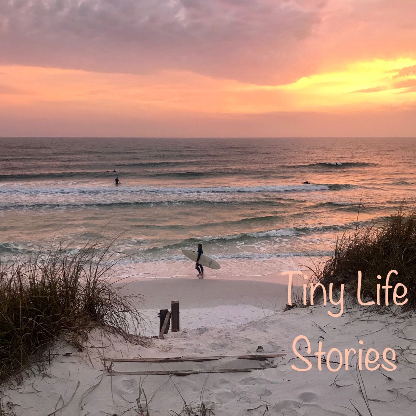 Tiny Life Stories