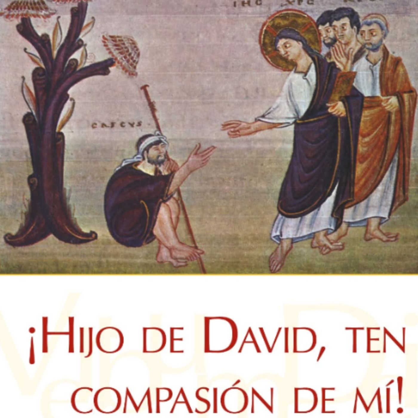 Evangelio Diario 28 de Mayo 
Mons Enrique Diaz Diaz episode artwork