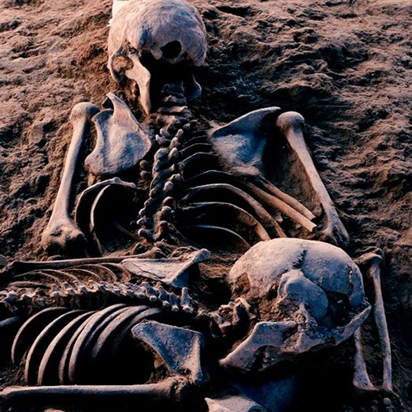 Secreto Familiar Historias De Terror - REDE