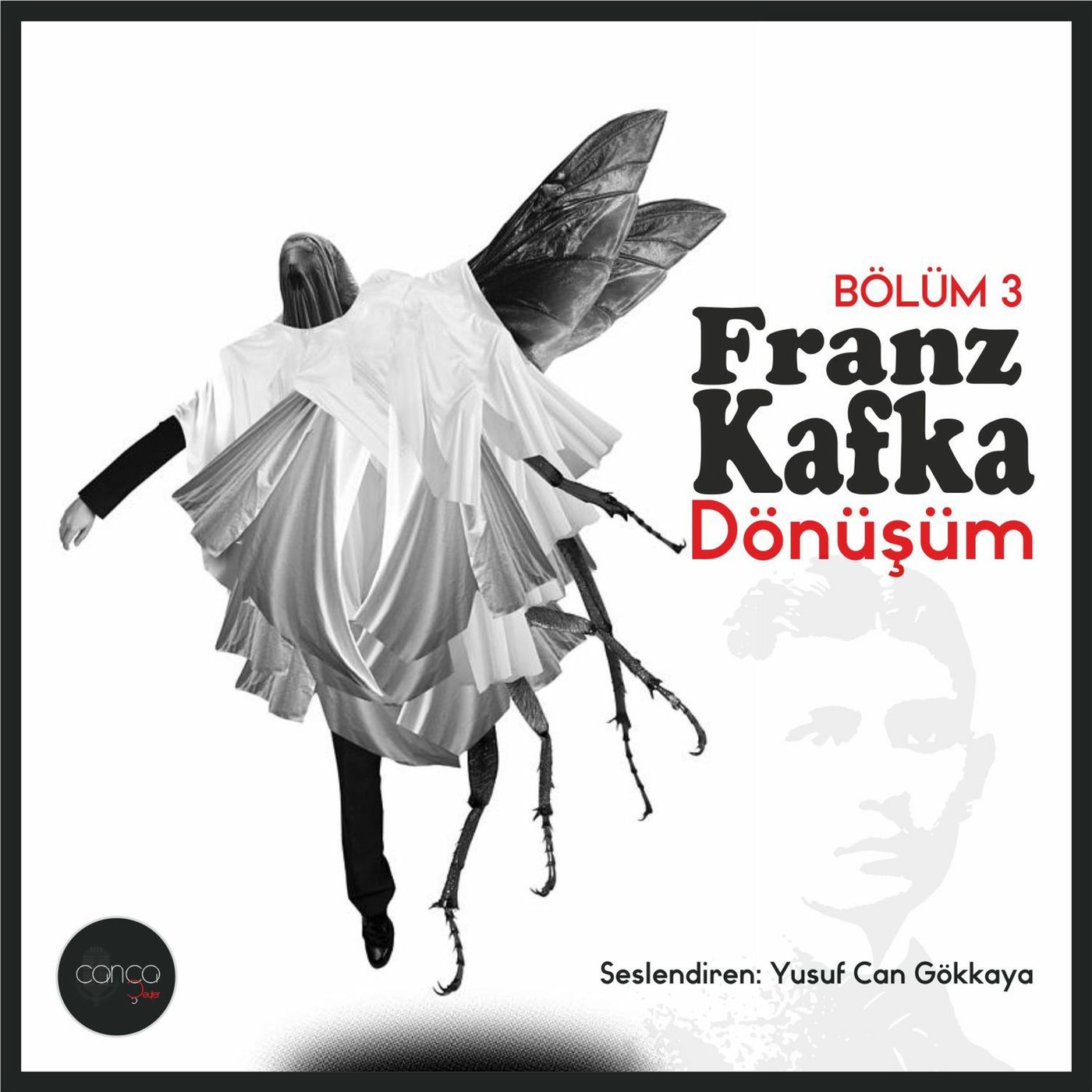 Franz Kafka -Dönüşüm (Son Bölüm) episode artwork