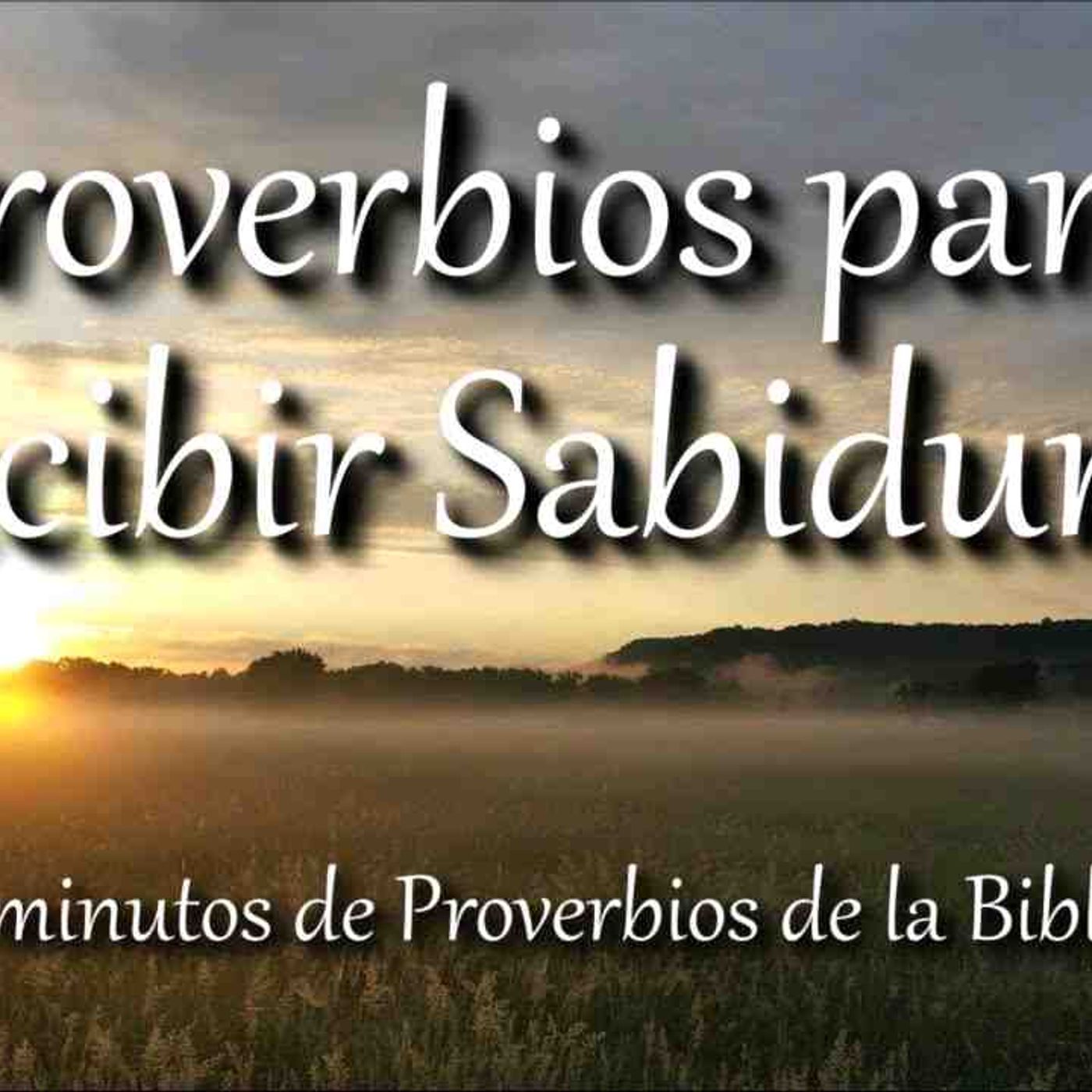 Proverbios para recibir sabiduría de parte de Dios _ Biblia hablada _ Bible audio Proverbs(MP3_160K)_4 episode artwork