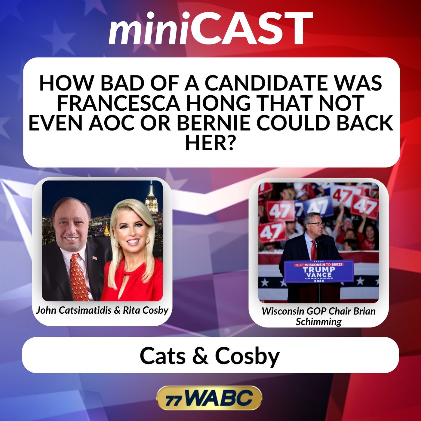 Wisconsin GOP Chair Brian Schimming: How Bad of a Candidate was Francesca Hong that Not Even AOC or Bernie Could Back Her? episode artwork