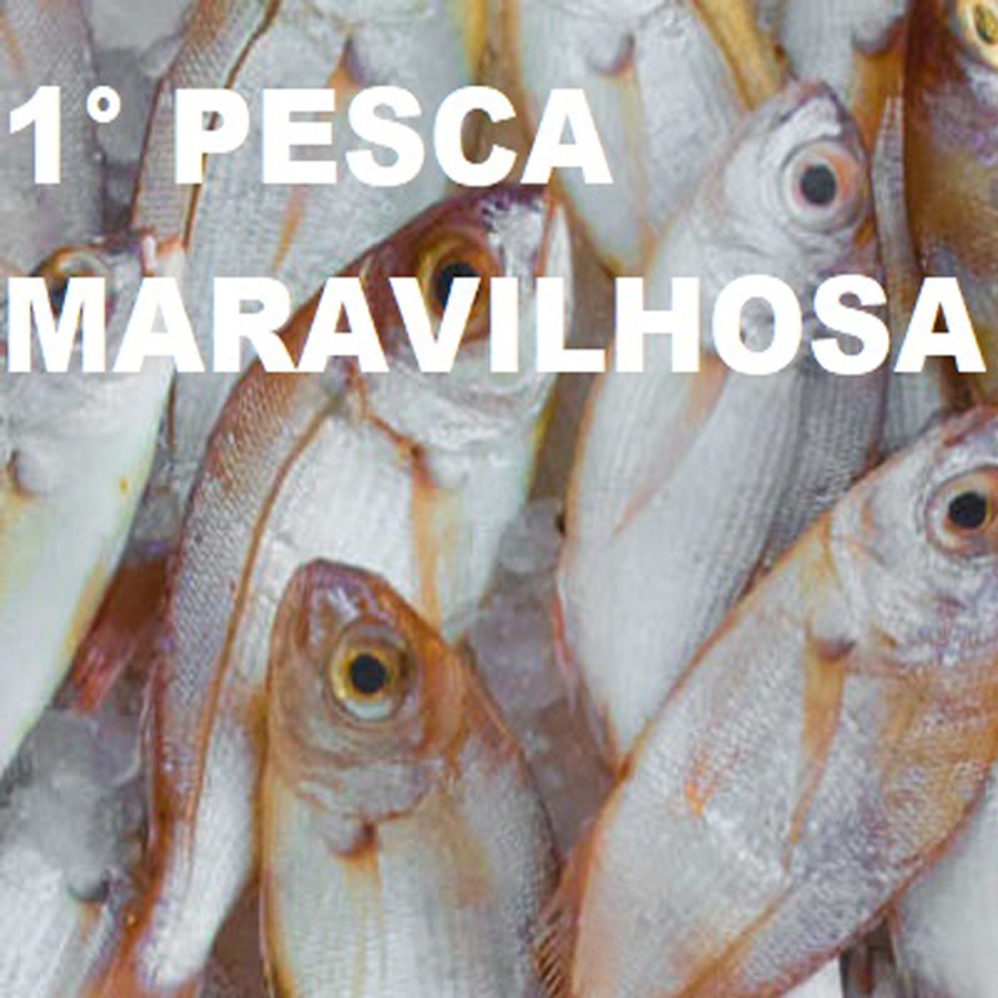 Os Milagres de Jesus