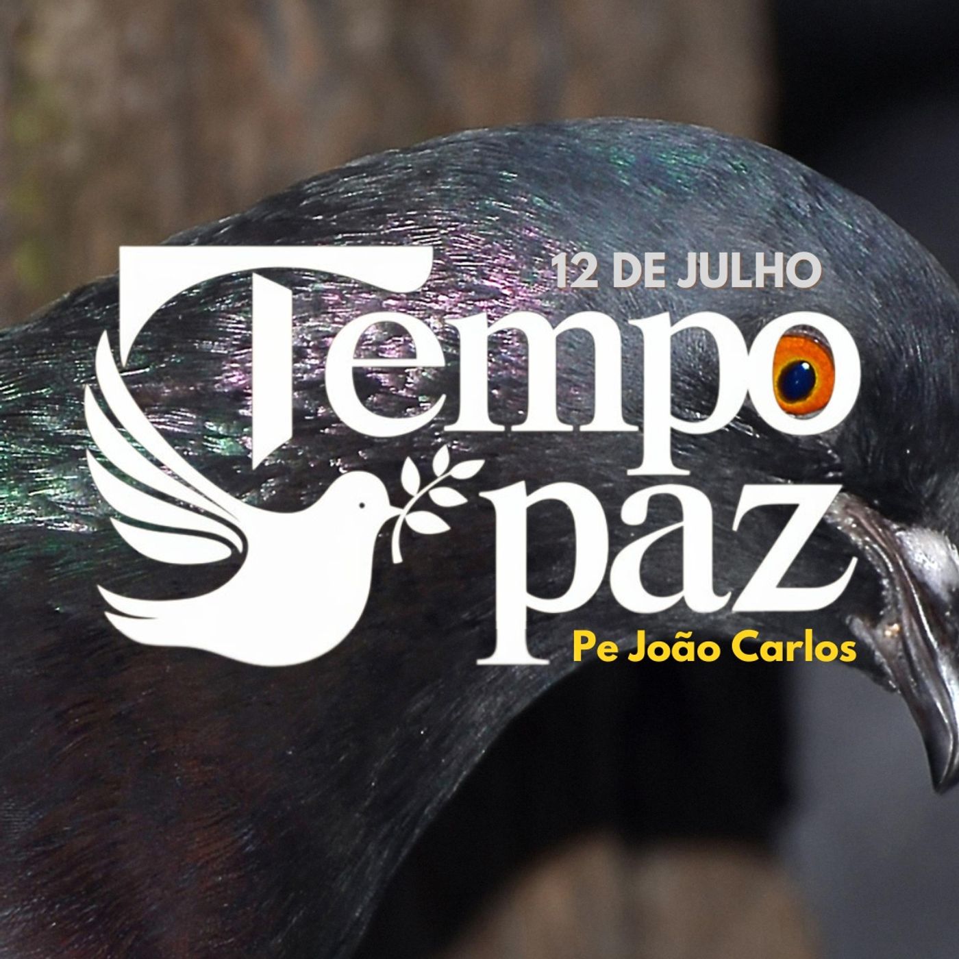 Pe. João Carlos - Meditação da Palavra