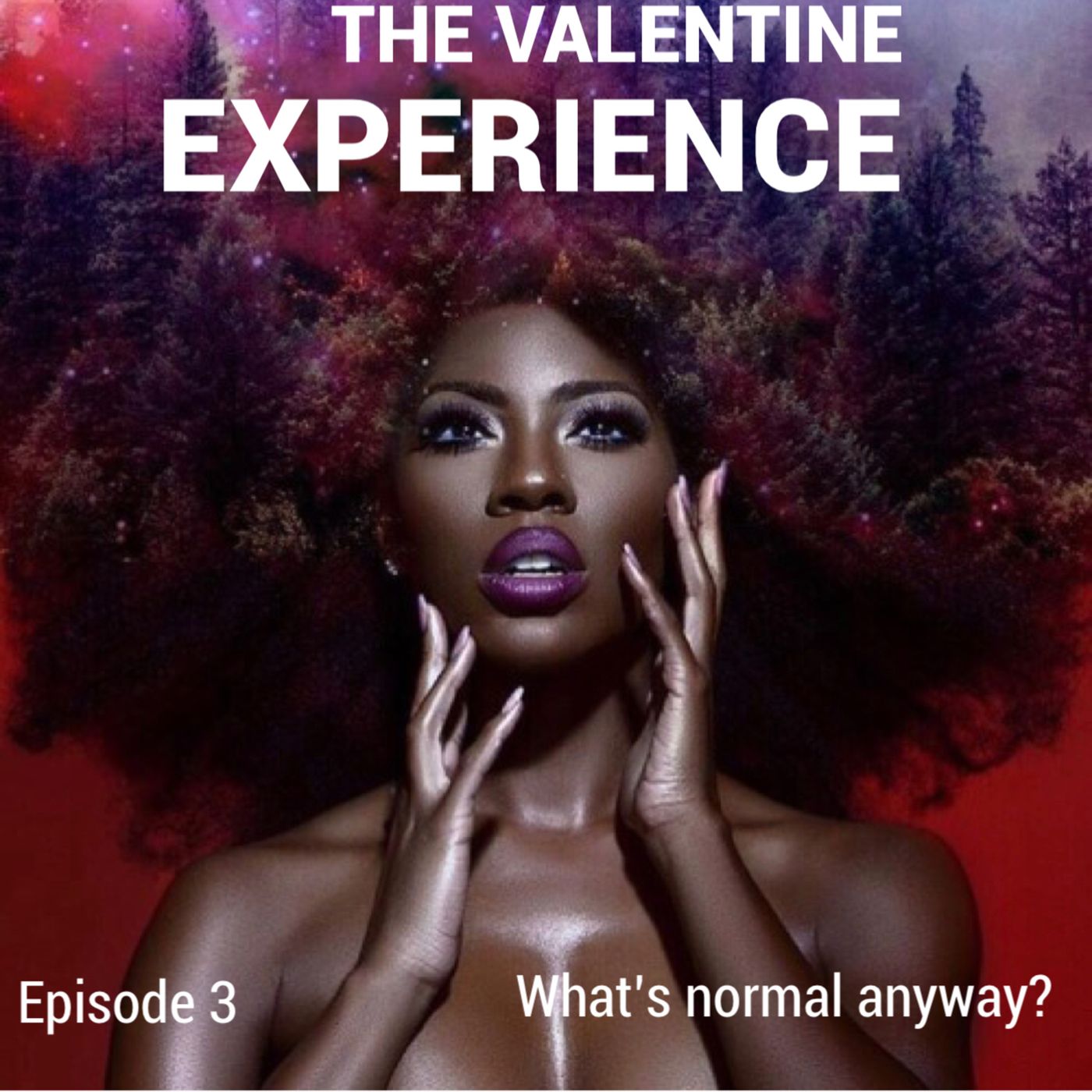 The Valentine Experience