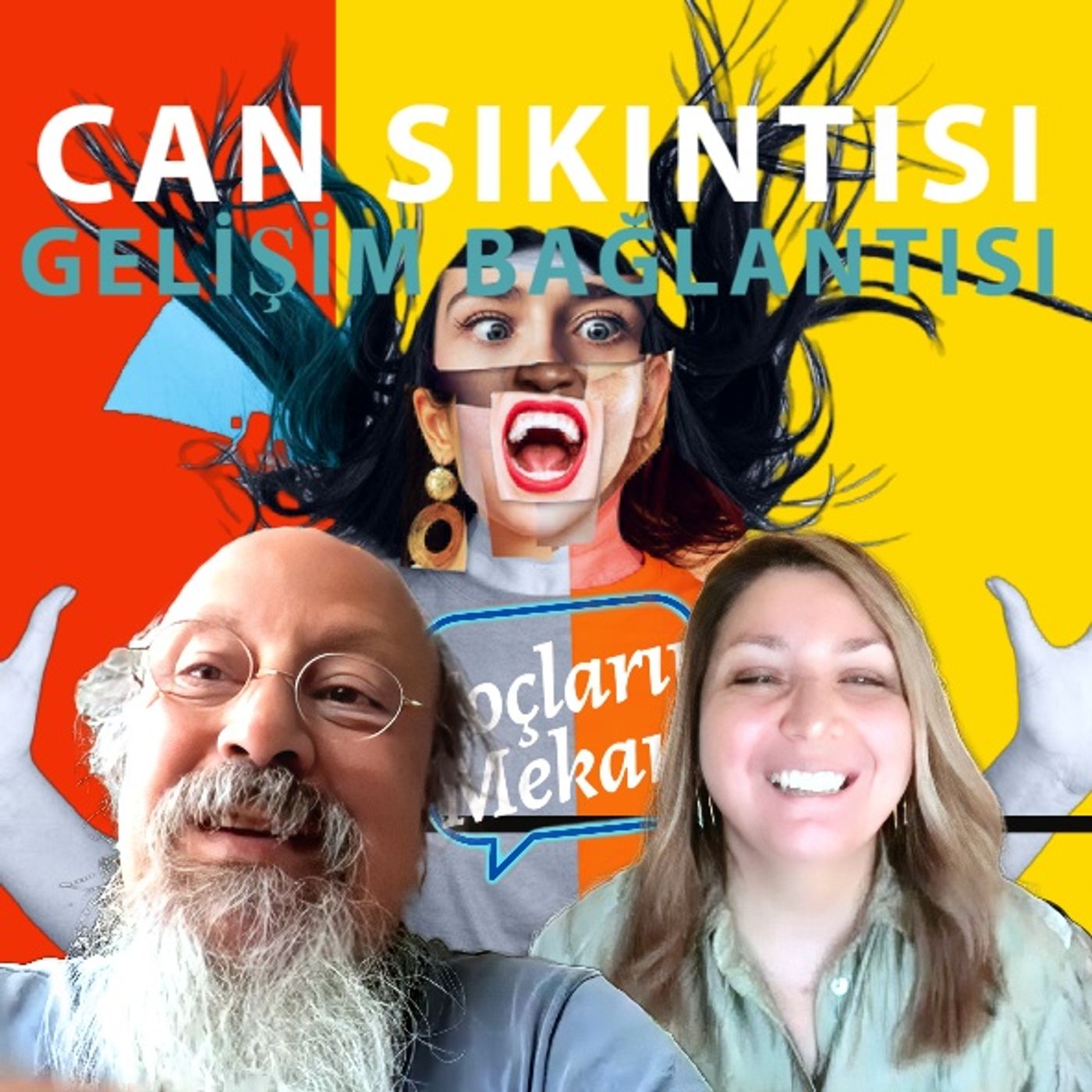Koçların Mekanı