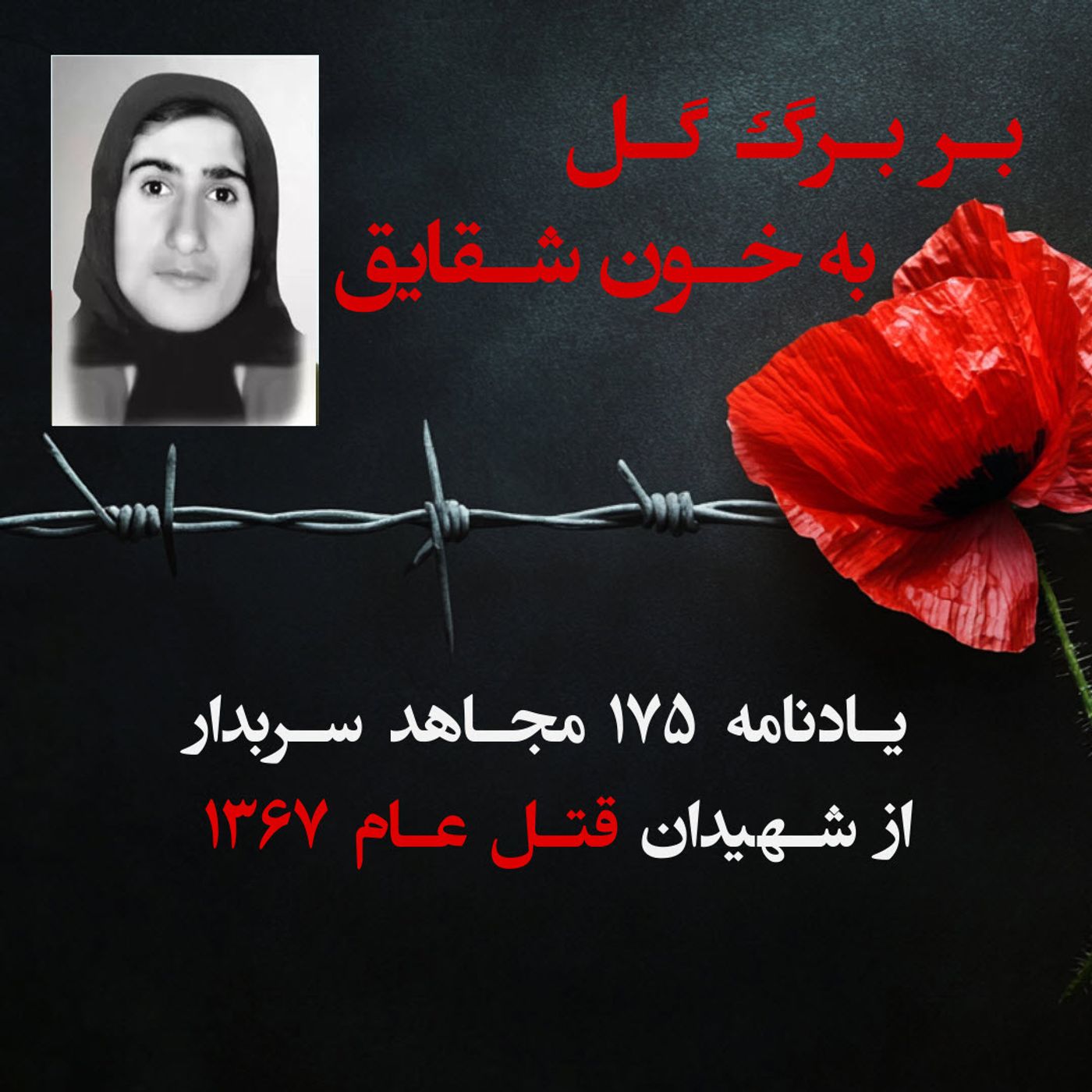 بربرگ  گل به خون شقایق- سکینه دلفی