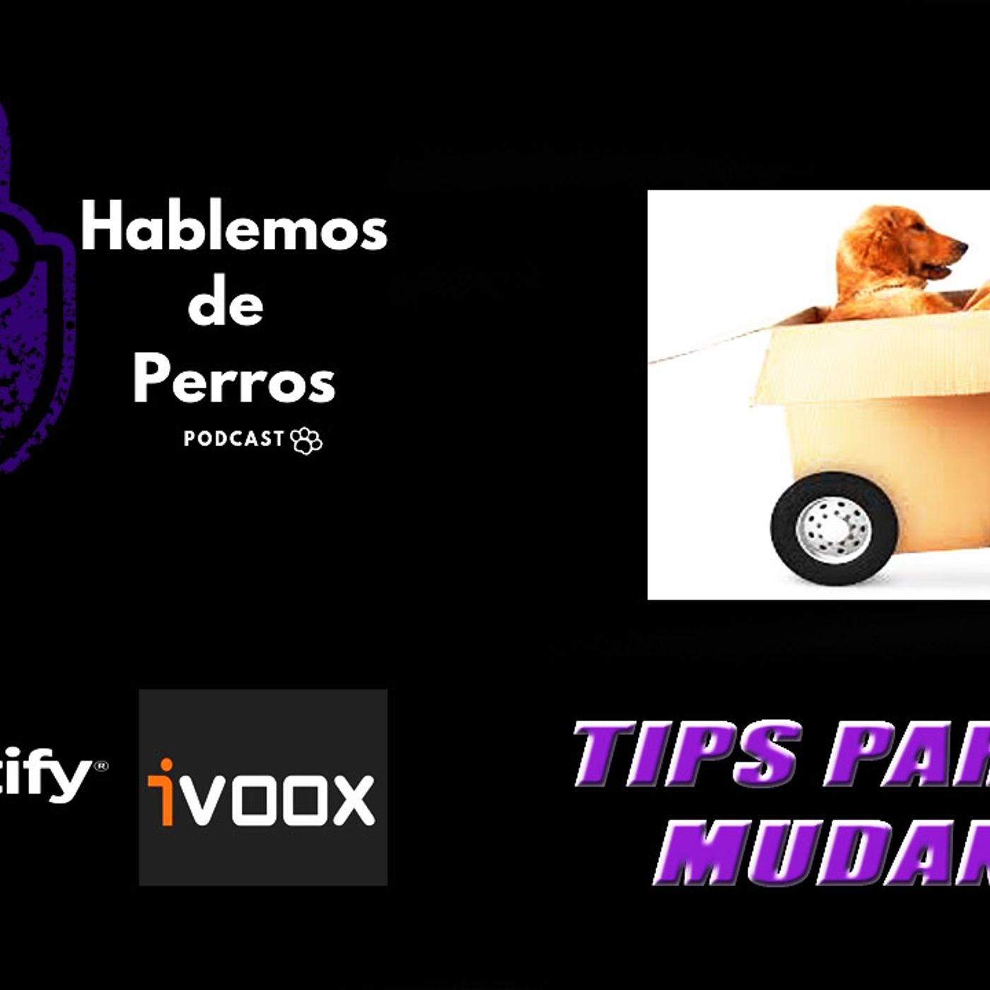 Hablemos de perros