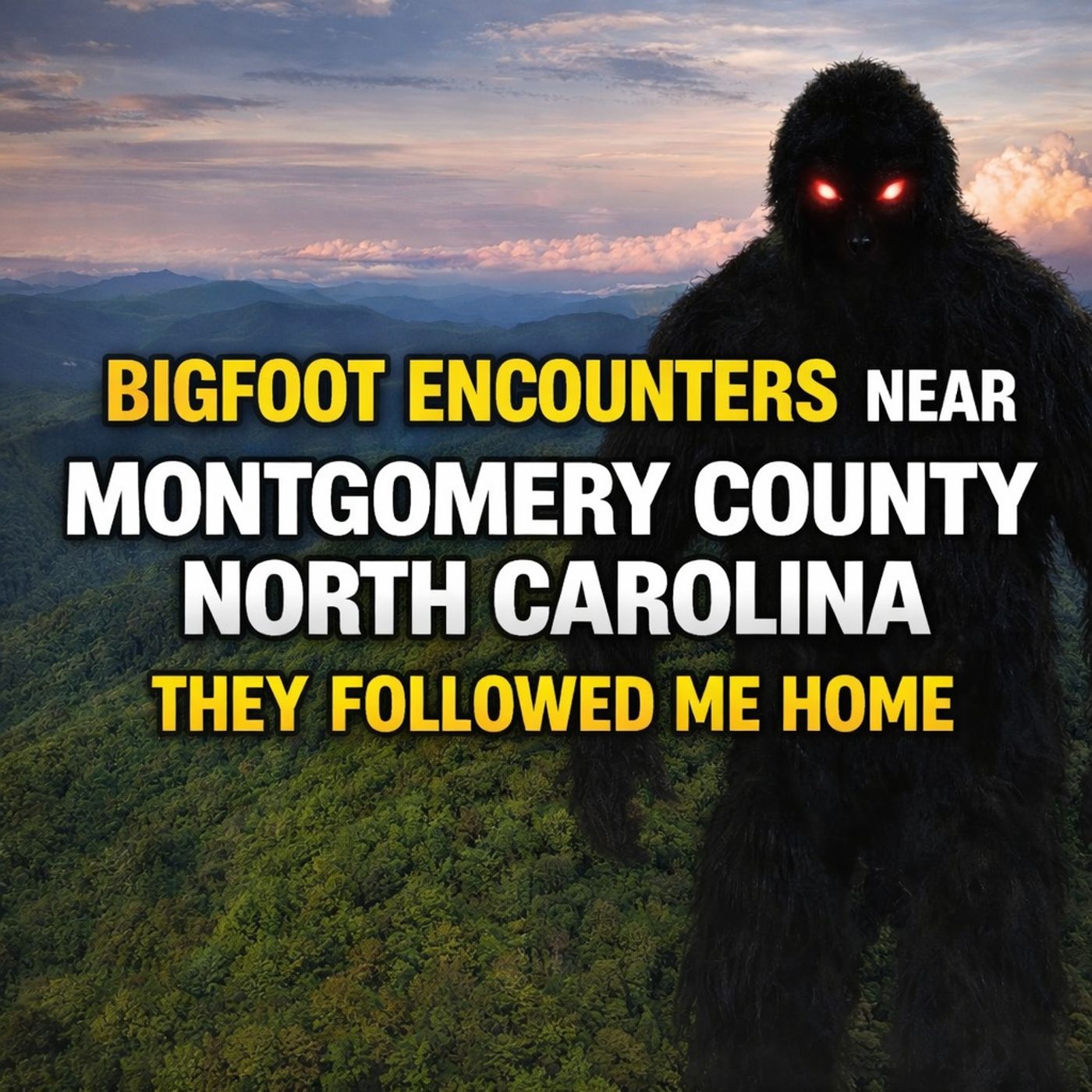 BIGFOOT ENCOUNTERS IN MONTGOMERY COUNTY NORTH CAROLINA | I THINK IT FOLLOWED ME HOME