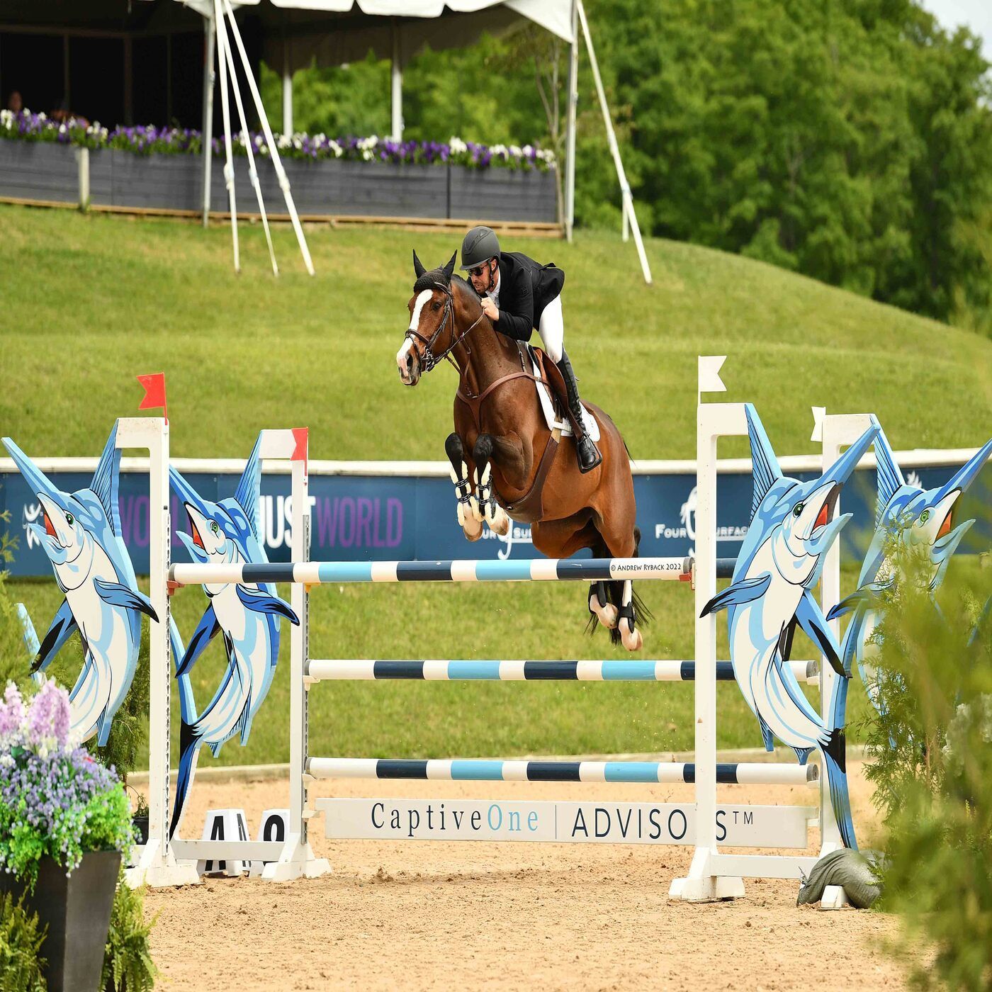 Alec Lawler - A Renowned Show Jumping Athlete episode artwork
