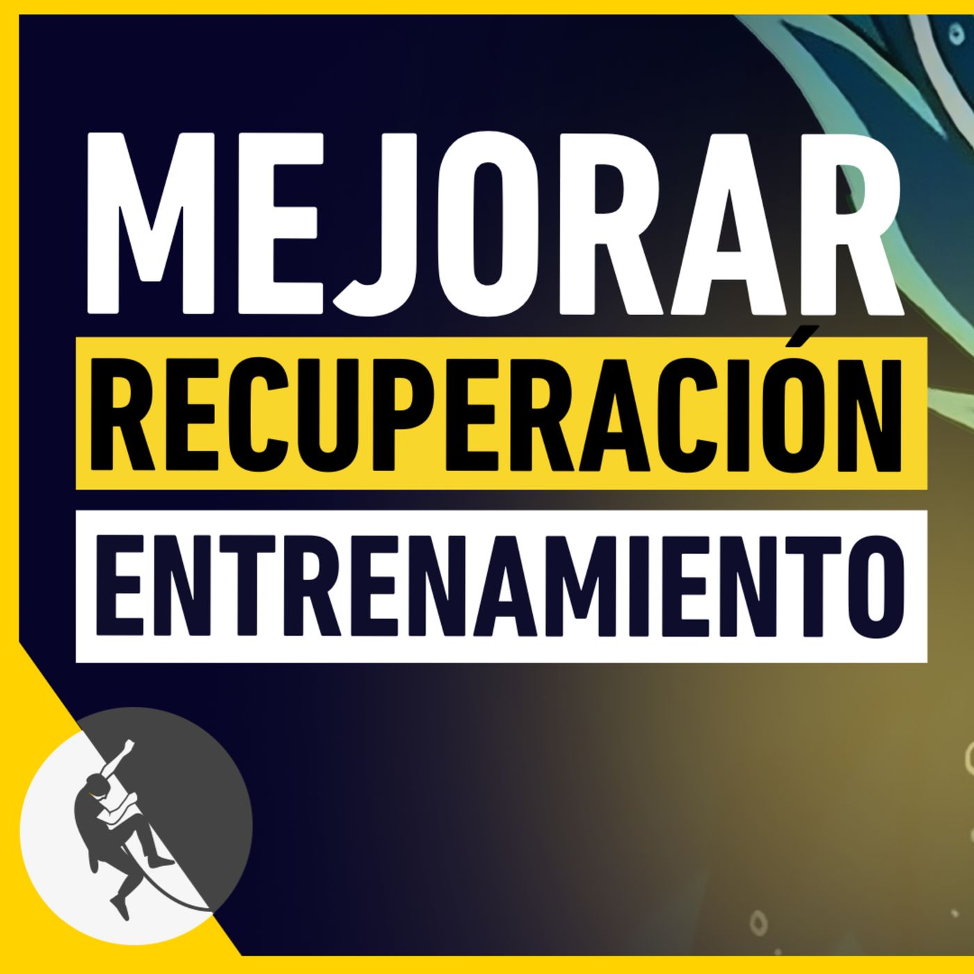 La Recuperación: tu arma oculta para rendir más en escalada episode artwork