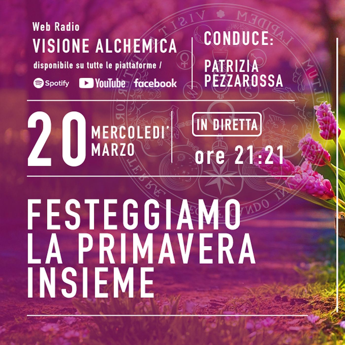 Visione Alchemica