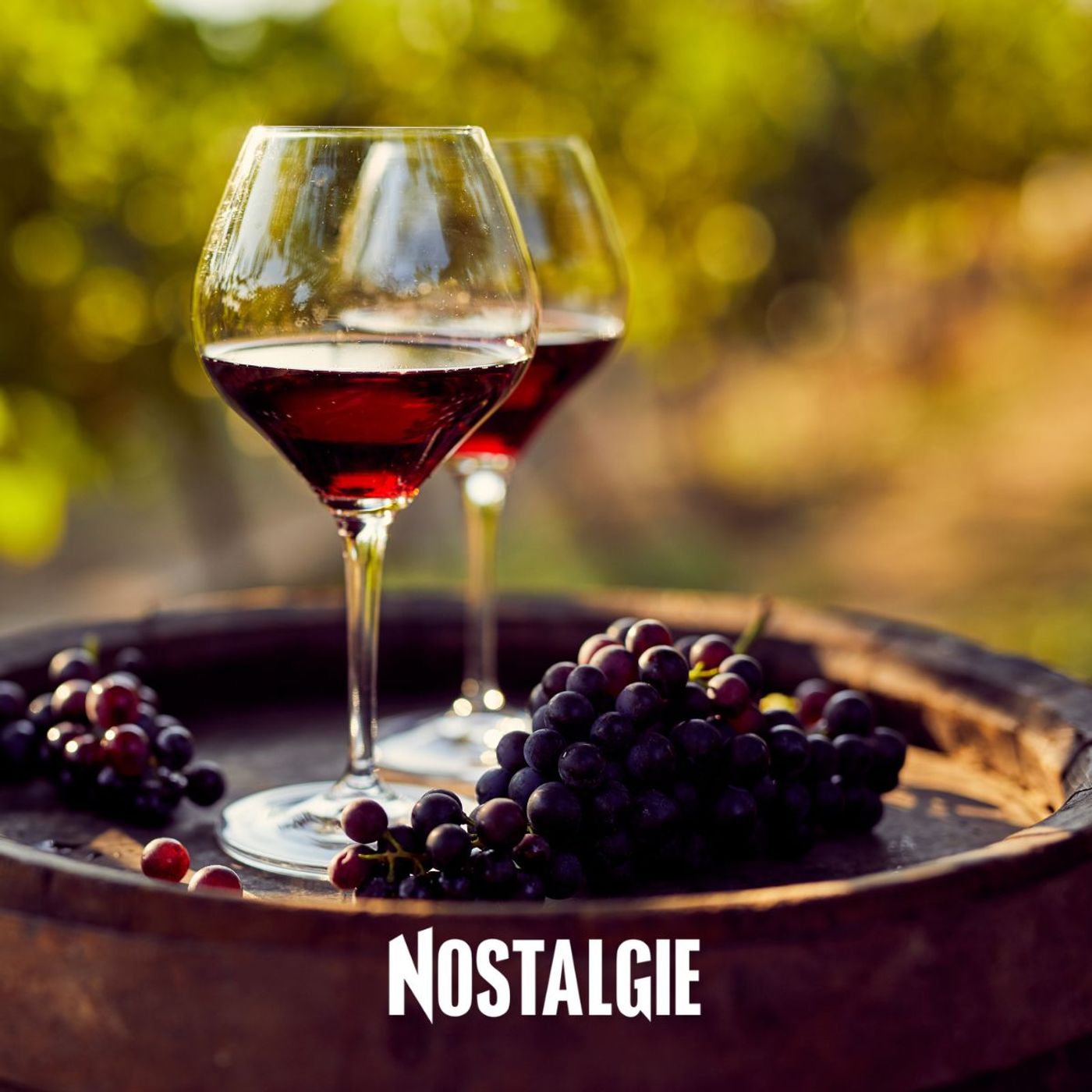 Vin et changement climatique : comment aider les vignerons dans leur résilience ? episode artwork