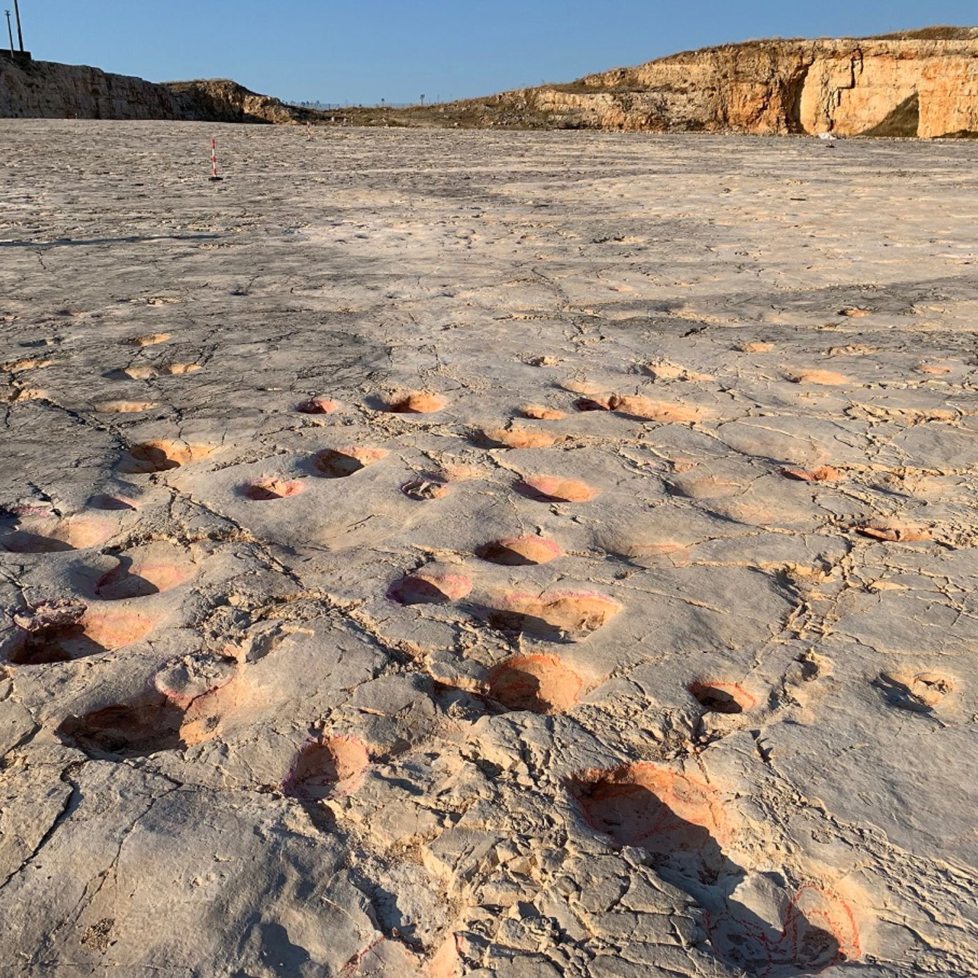 Mimmo Moramarco Ilmimmo