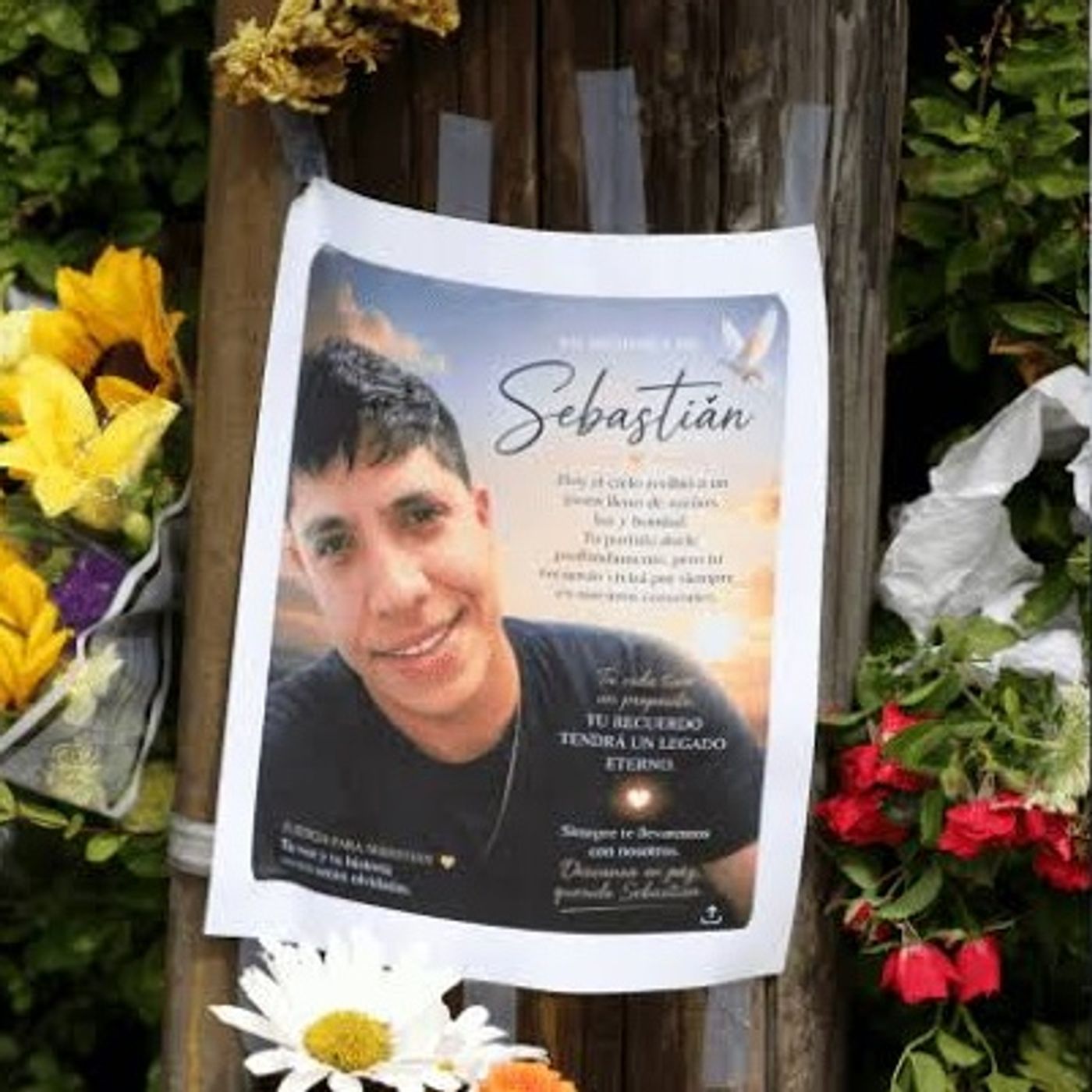 A debacle of catastrophic proportions - Maine congresswoman BLASTS ICE over latest fatal shooting