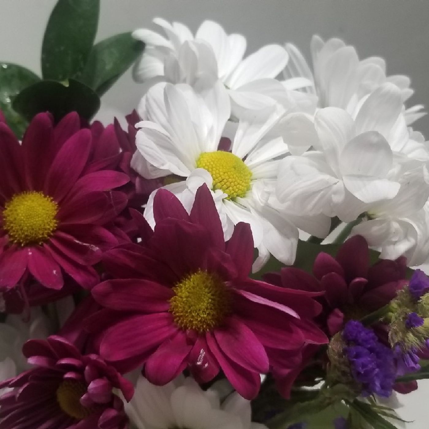 Autoconocimiento Letty Lopez