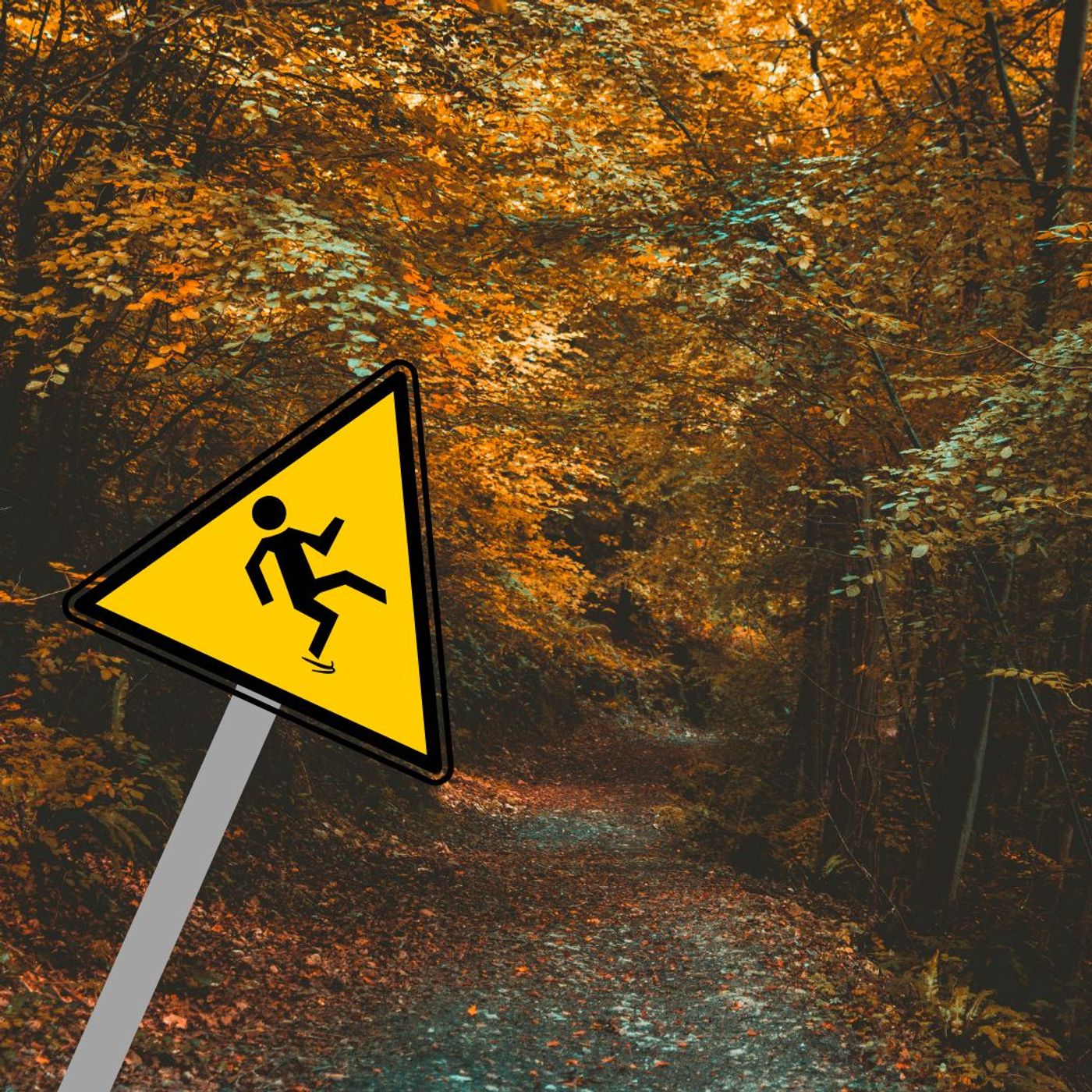 #BorgoPanigale Cadute nel bosco