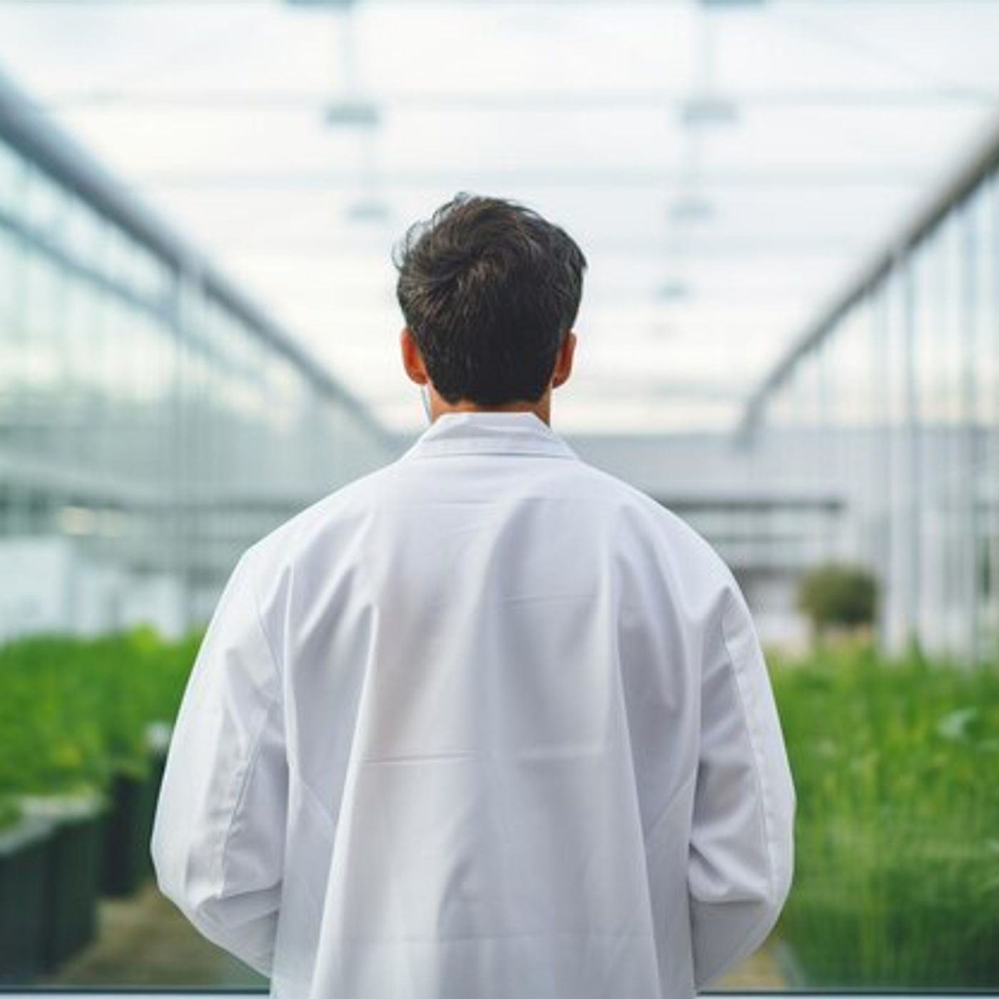 Anthony "Tony" Mattei